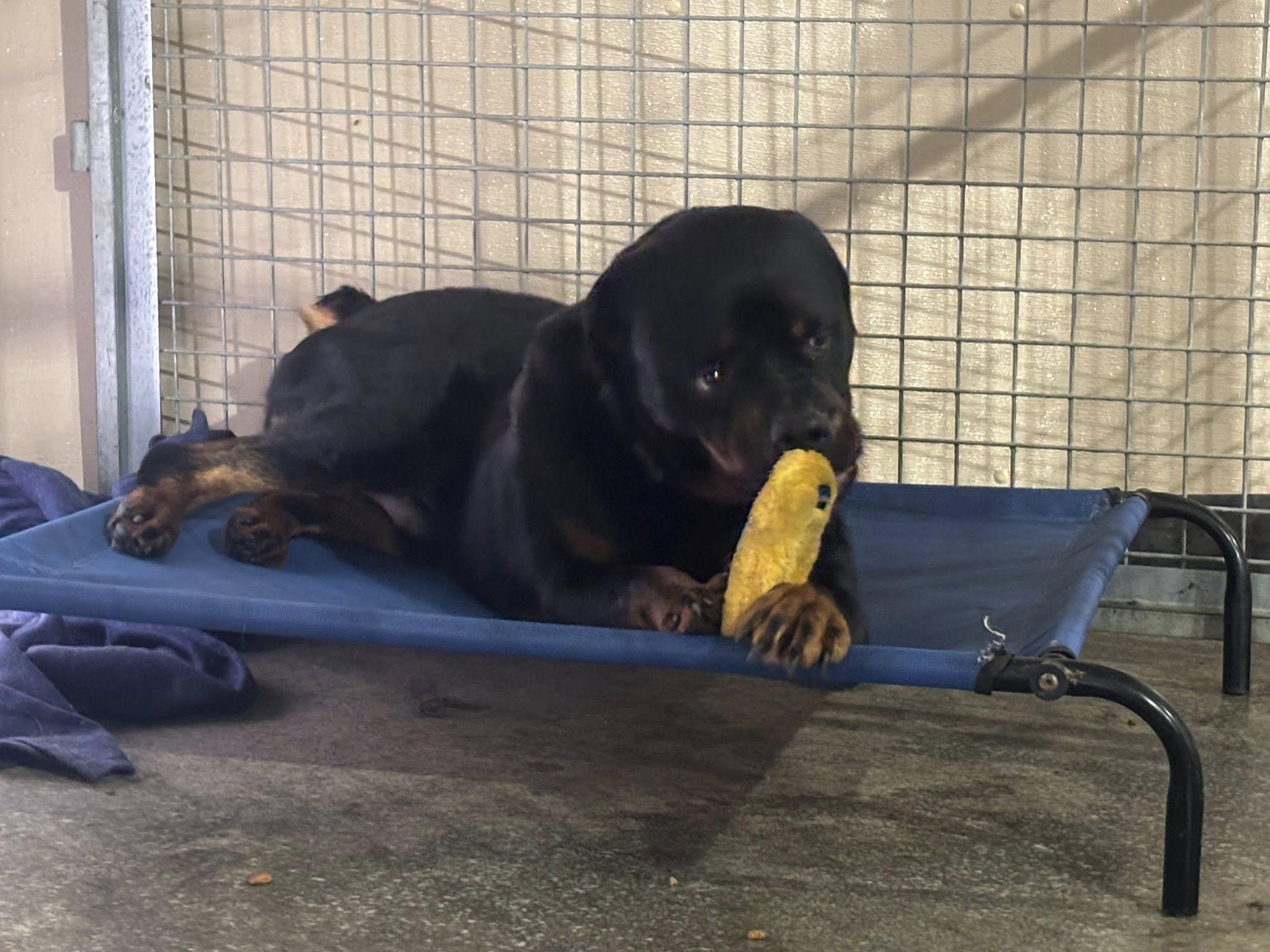 Zeus **Courtesy Listing**