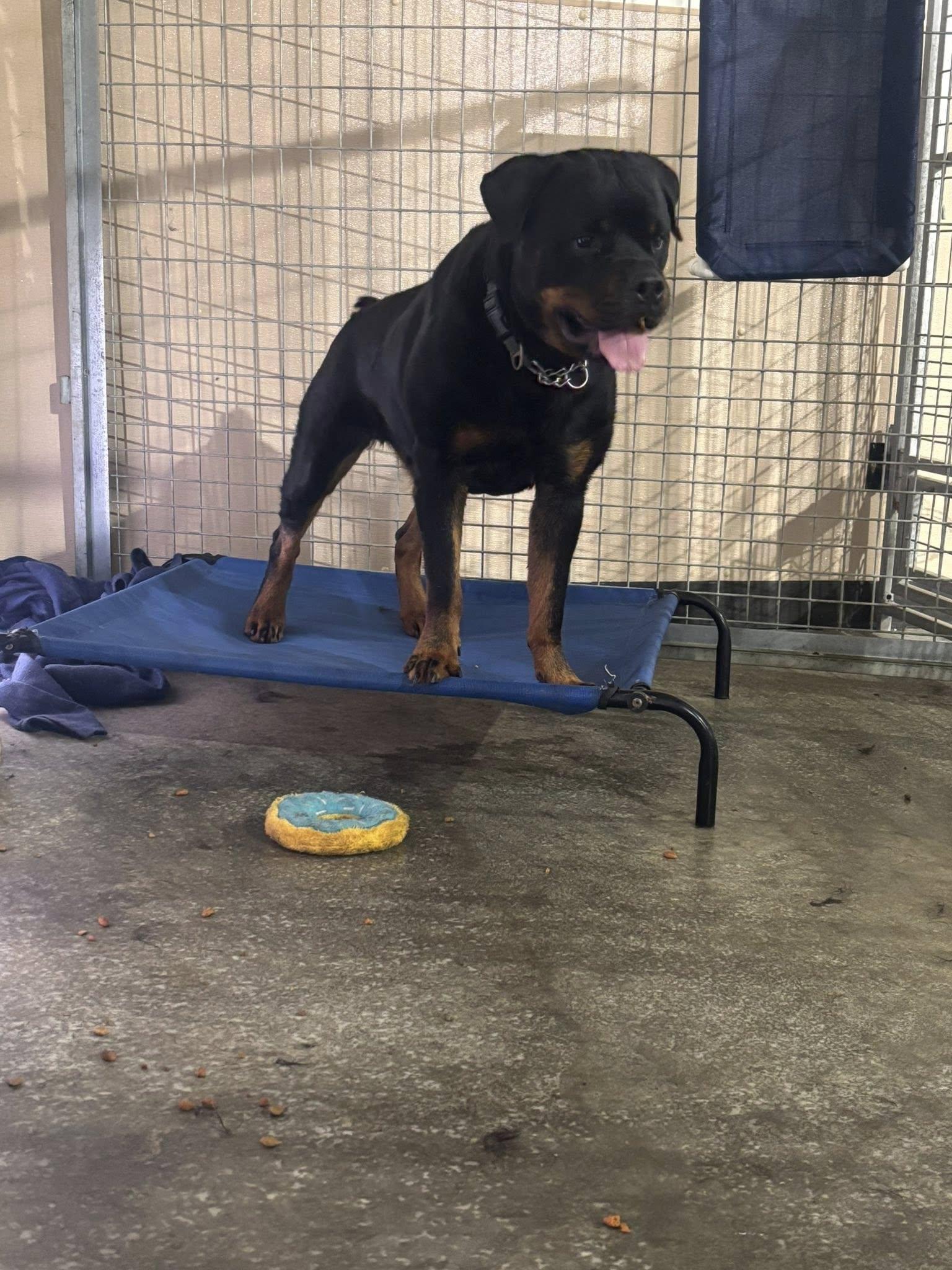 Zeus **Courtesy Listing**