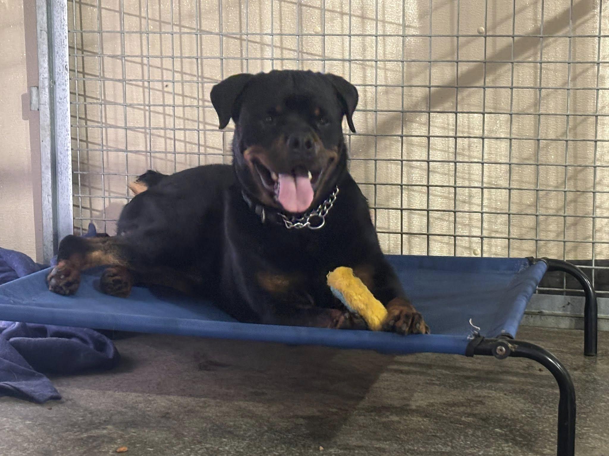 Zeus **Courtesy Listing**