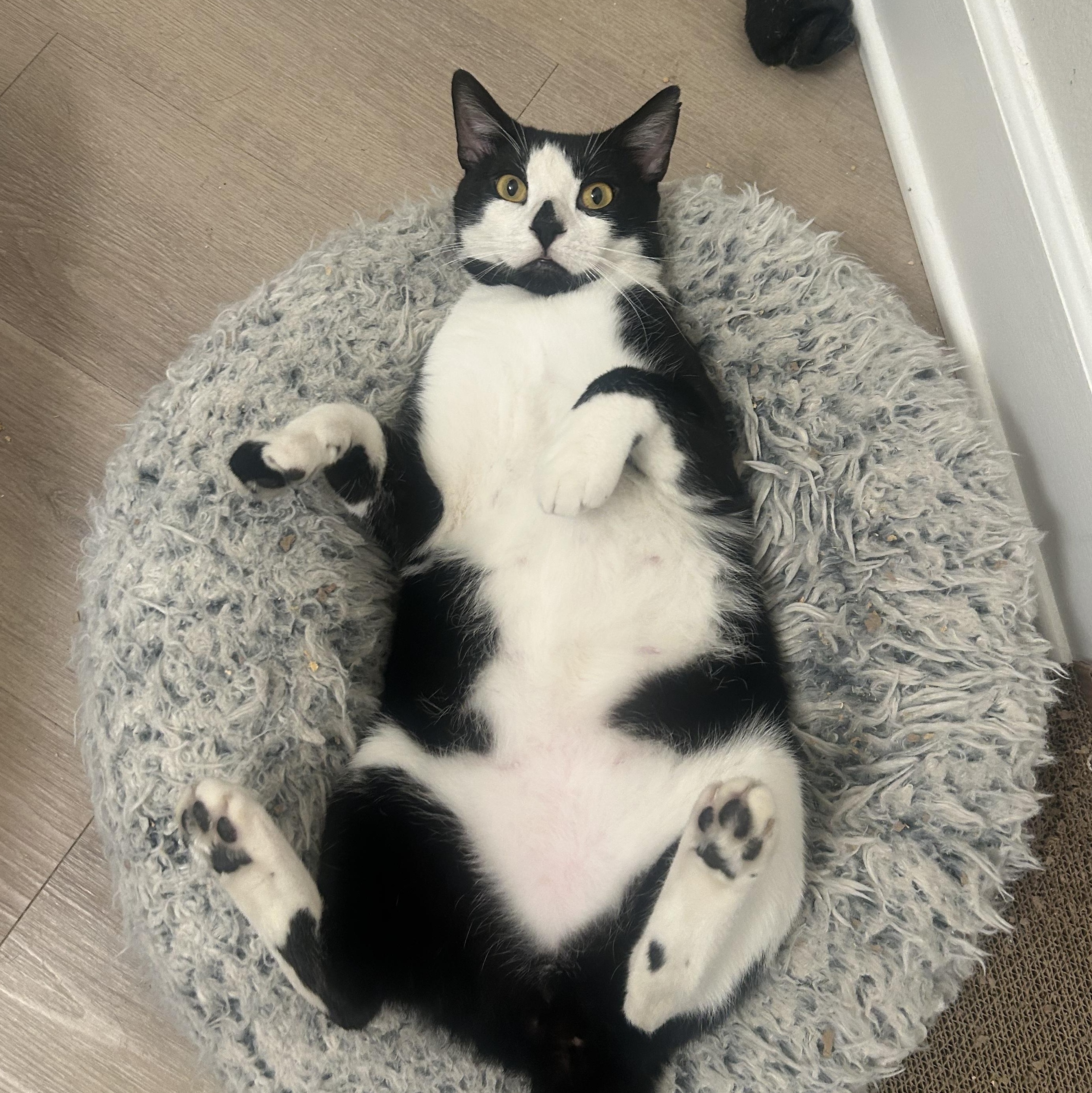 Claude — thumbnail 2