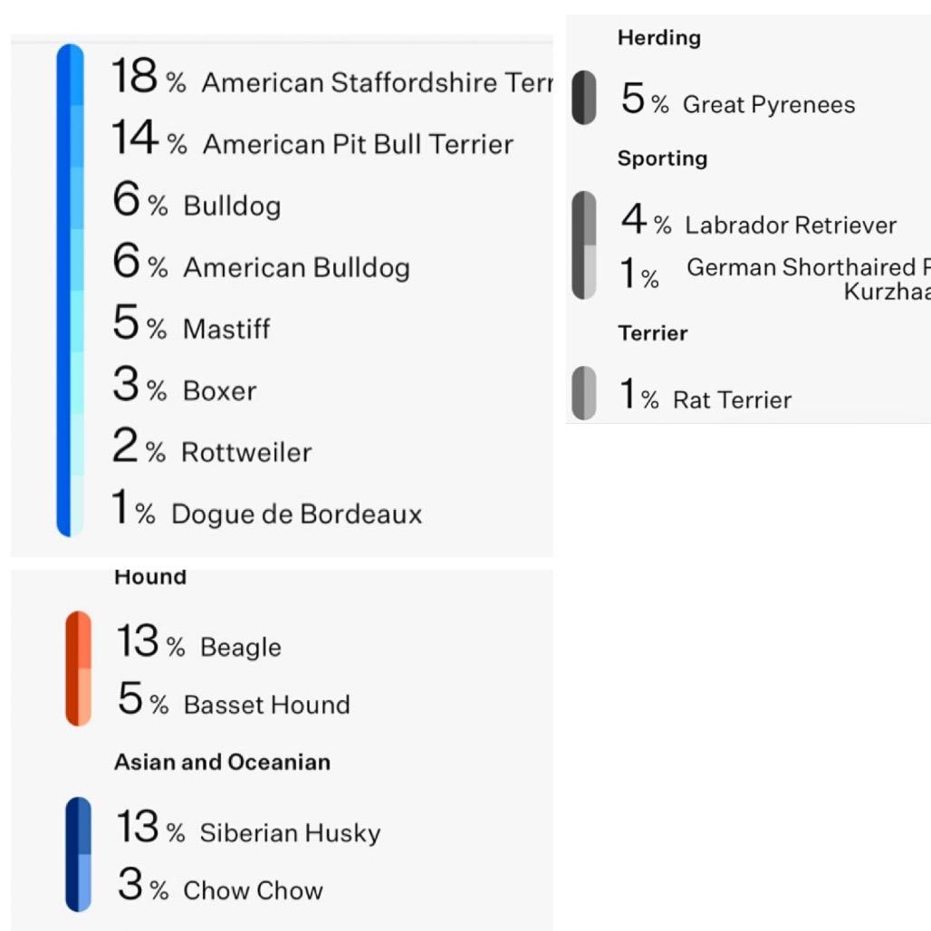 Enlarge Prudence, a Adoptable Mixed Breed in Kansas City, MO image 6/6