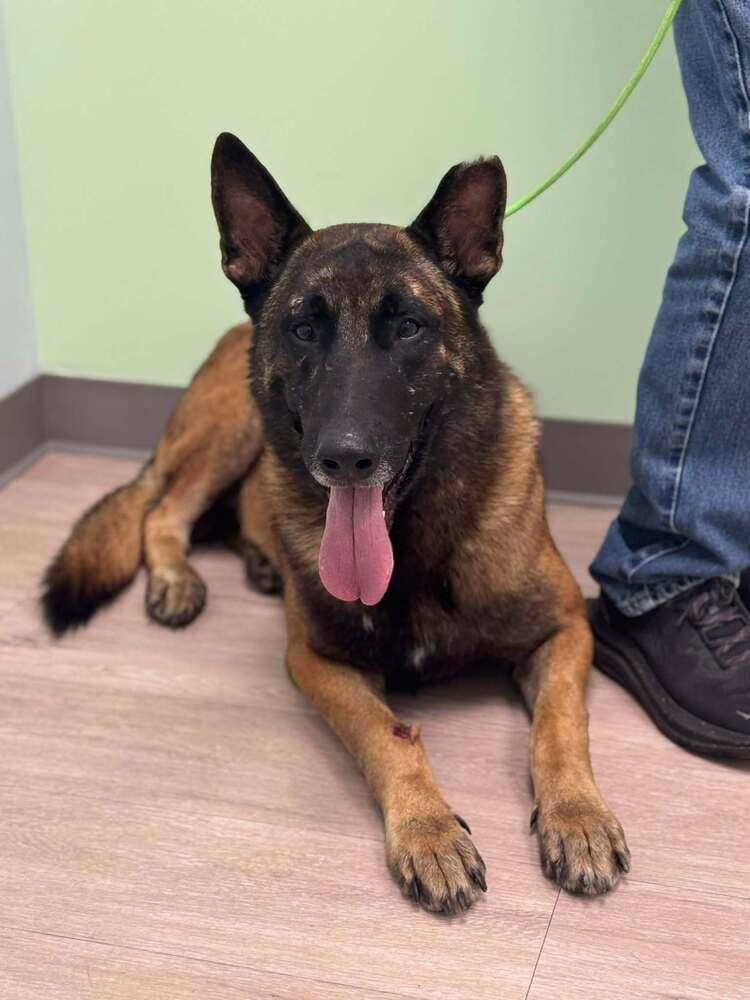 Gavin  Located In thumbnail 3