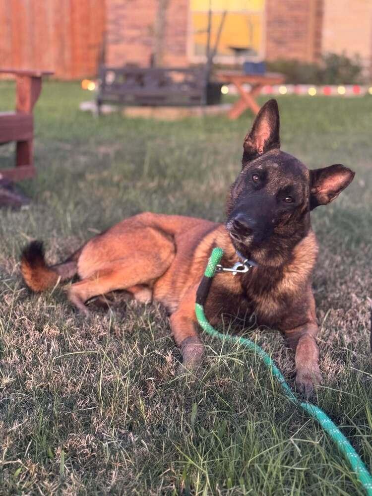 Gavin  Located In thumbnail 4