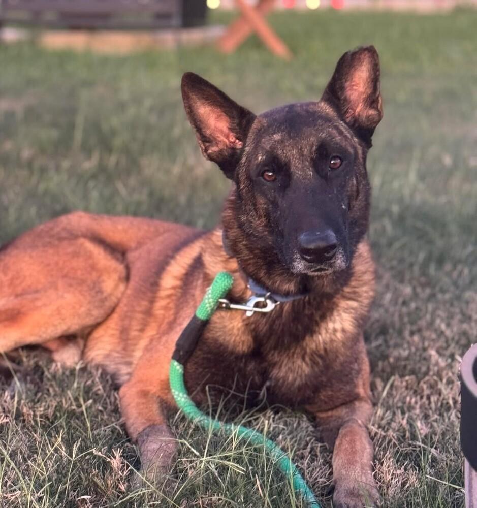 Gavin  Located In thumbnail 5