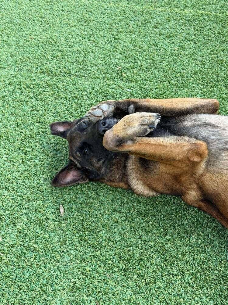 Gavin  Located In thumbnail 6