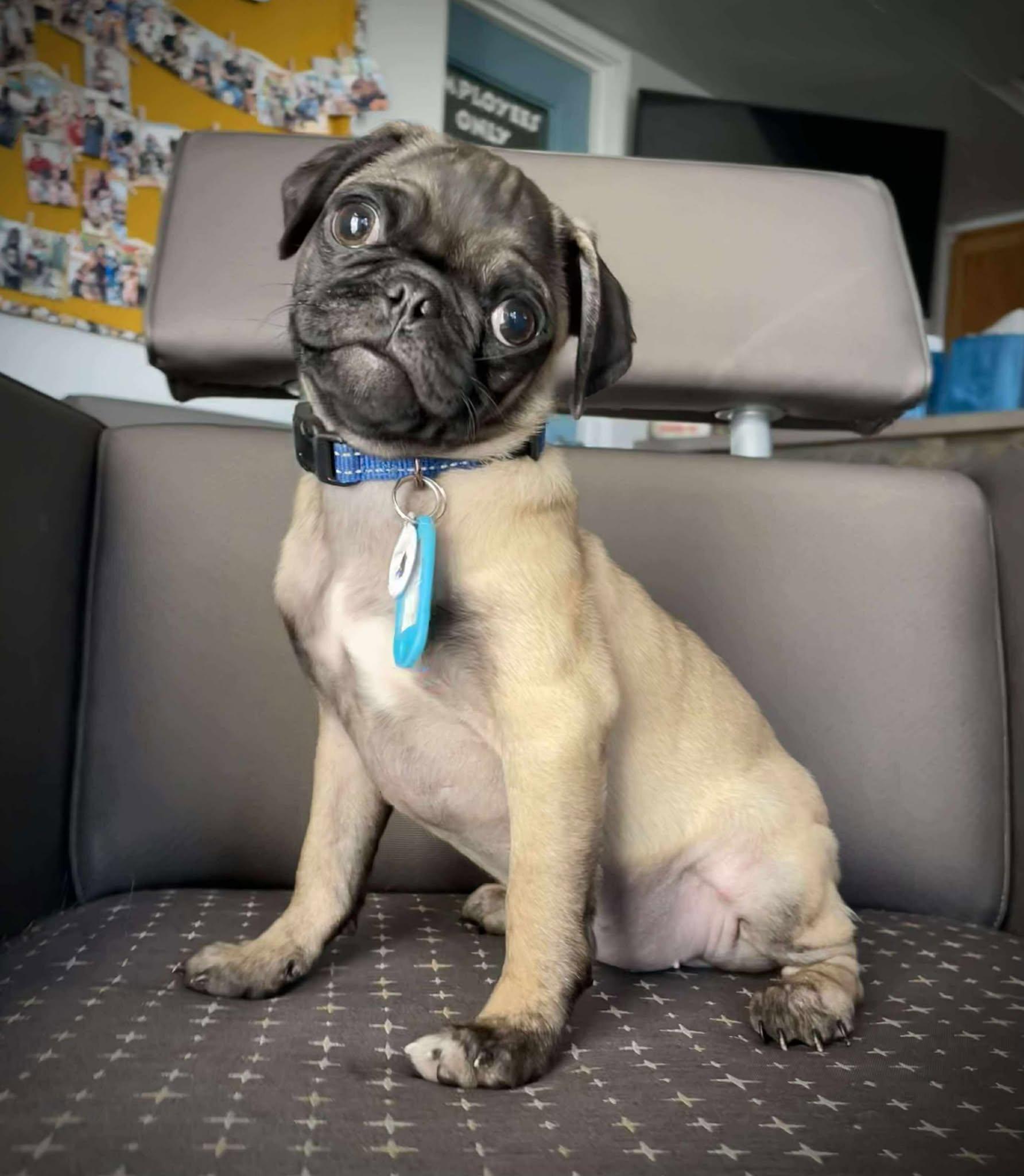 Little League Litter - Sandlot