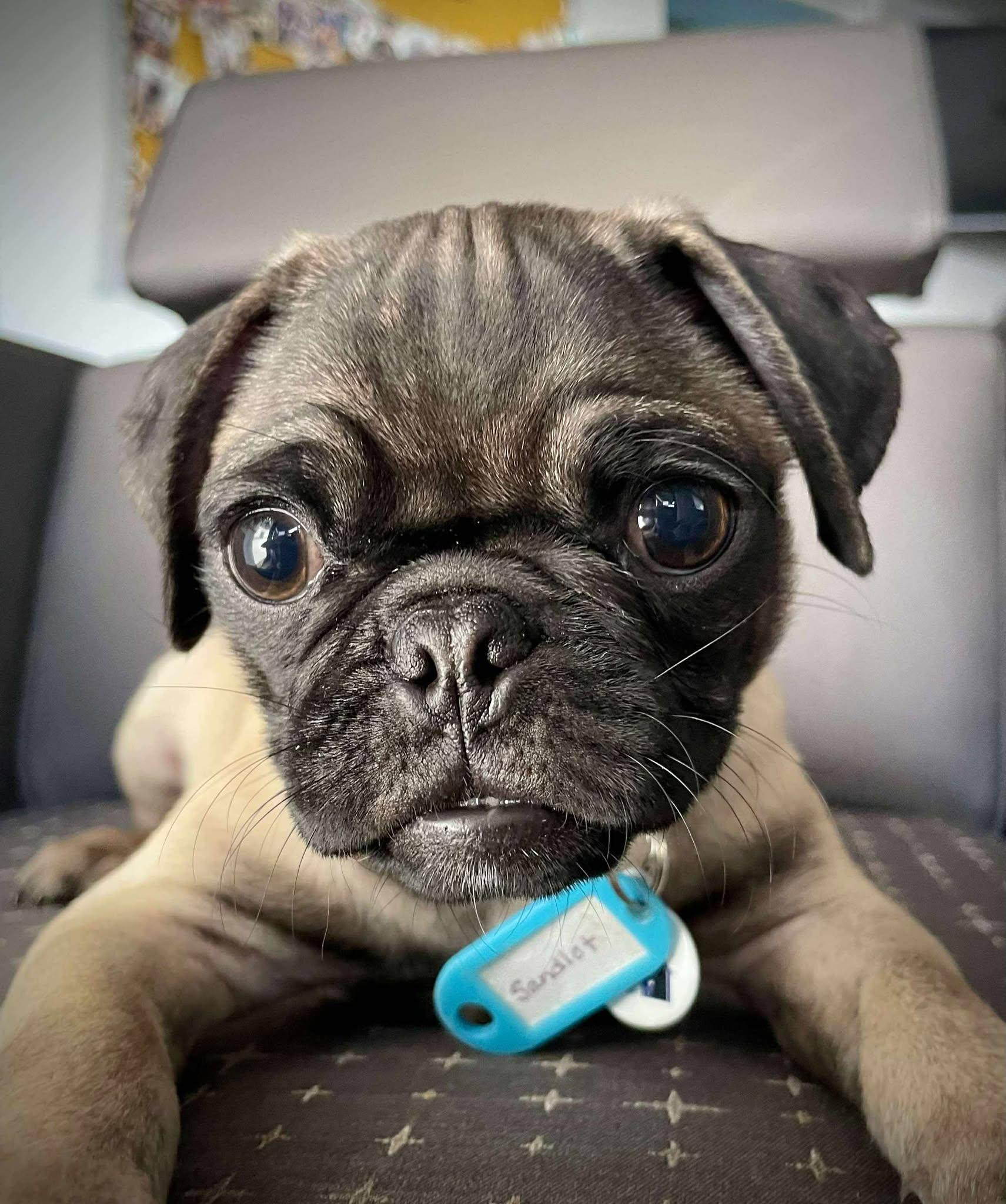 Little League Litter - Sandlot