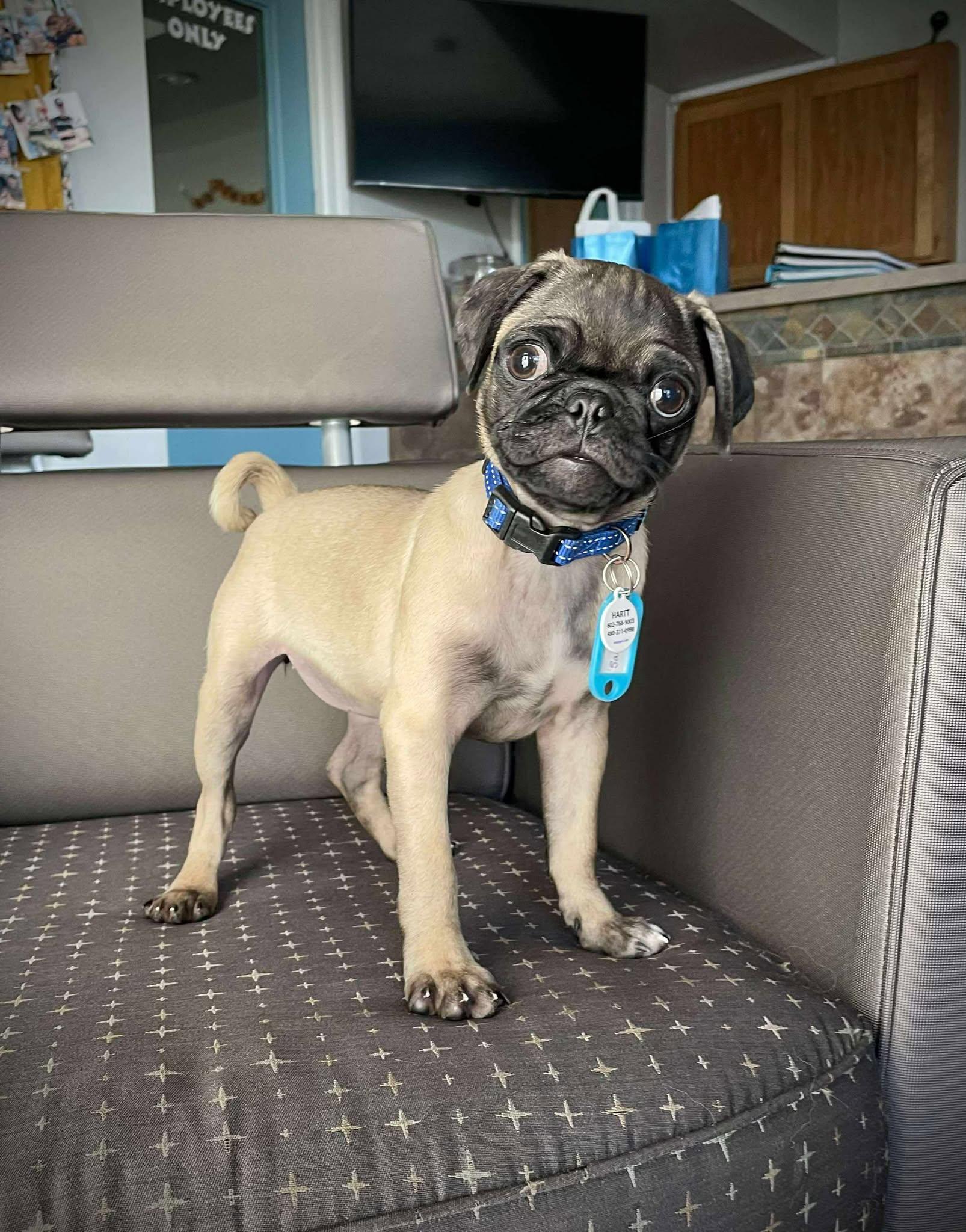 Little League Litter - Sandlot