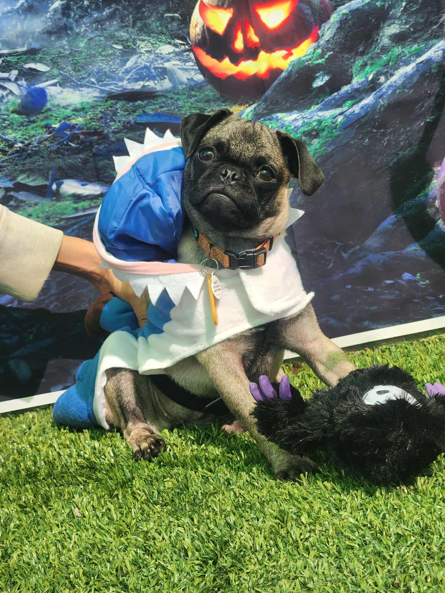 Little League Litter - Sandlot