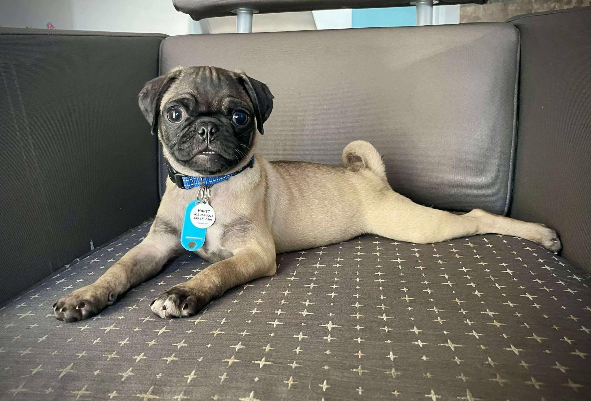 Little League Litter - Sandlot