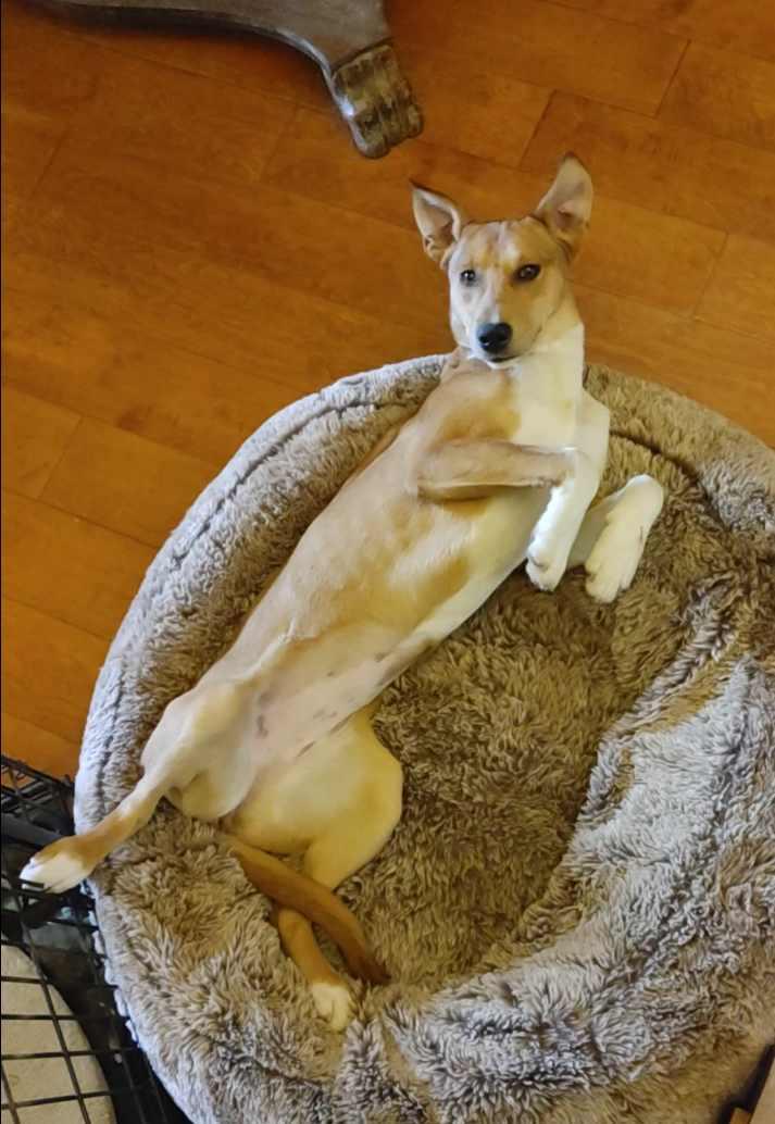 Louise — thumbnail 5