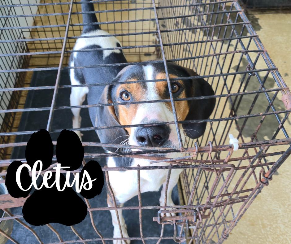 Cletus