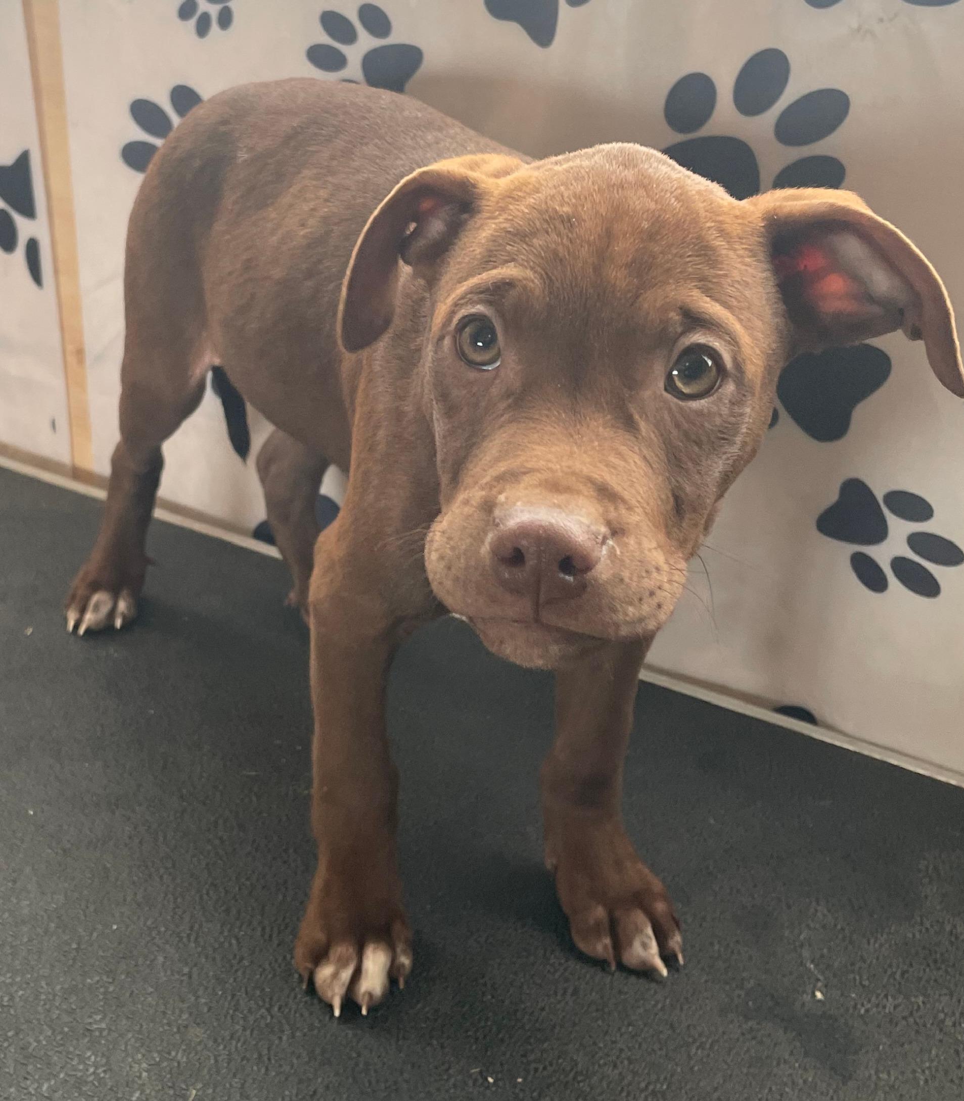 Java Zoom — thumbnail 5