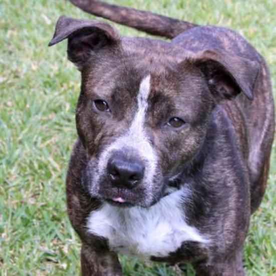 Rocky 5083 — thumbnail 2