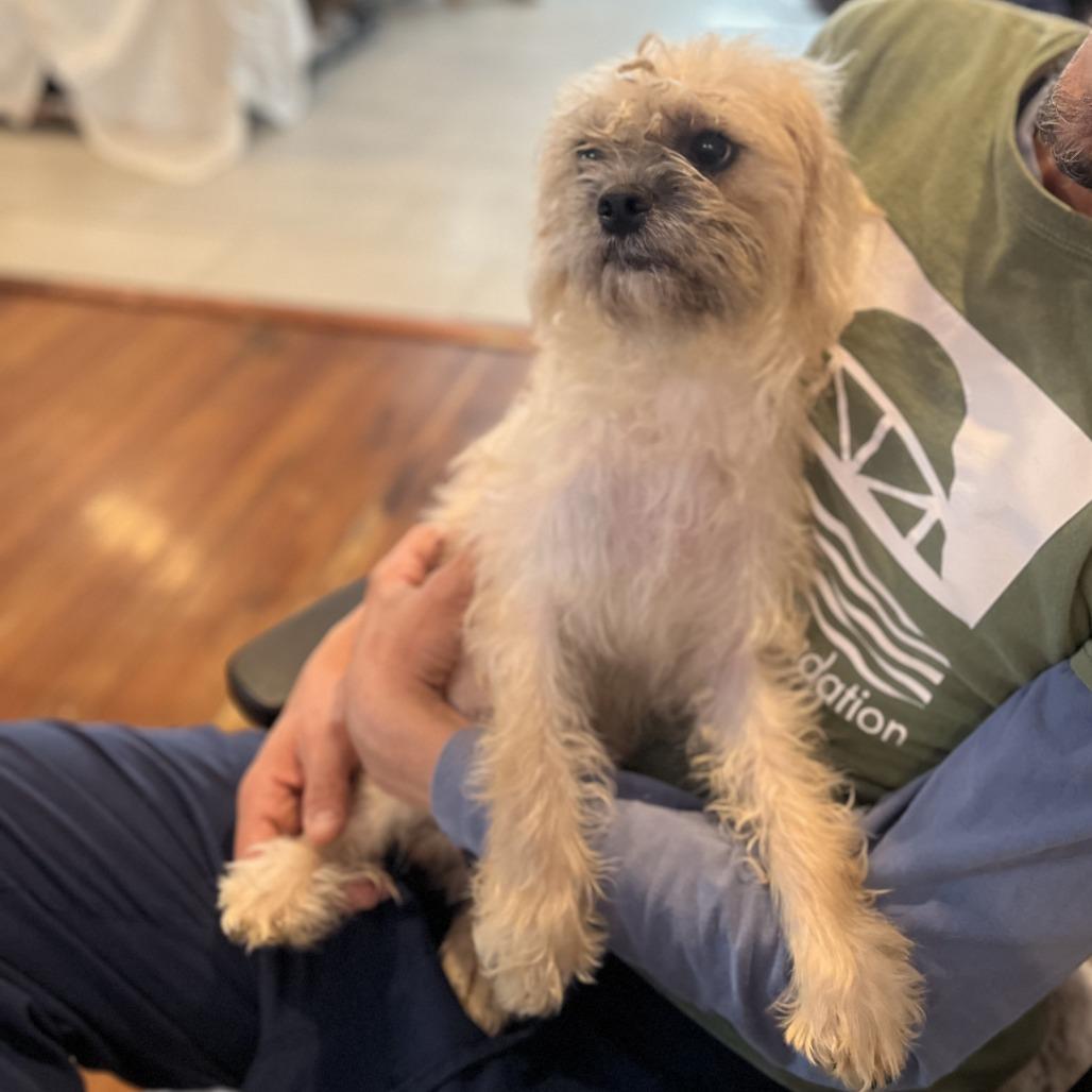 Samantha thumbnail 2