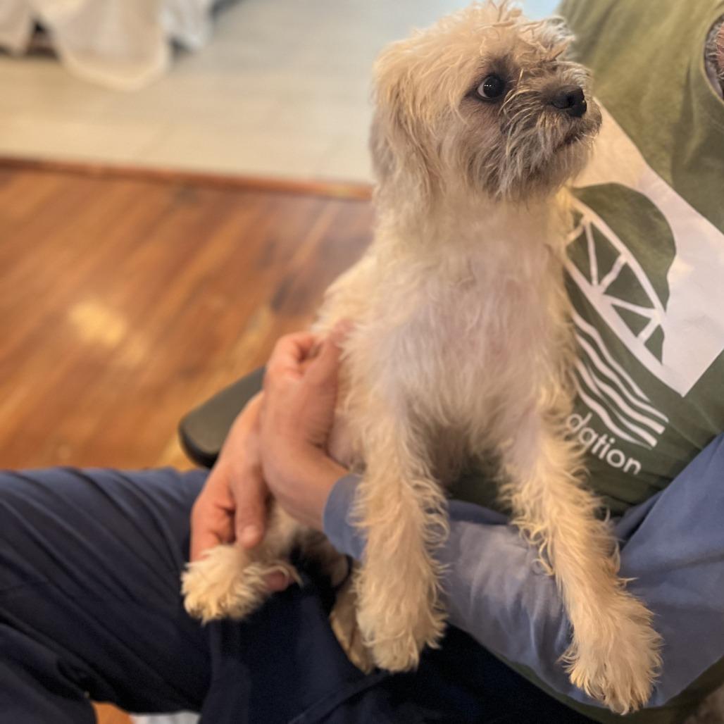 Samantha thumbnail 3