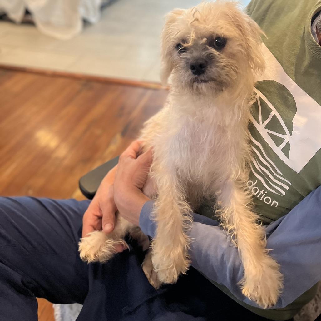 Samantha thumbnail 4