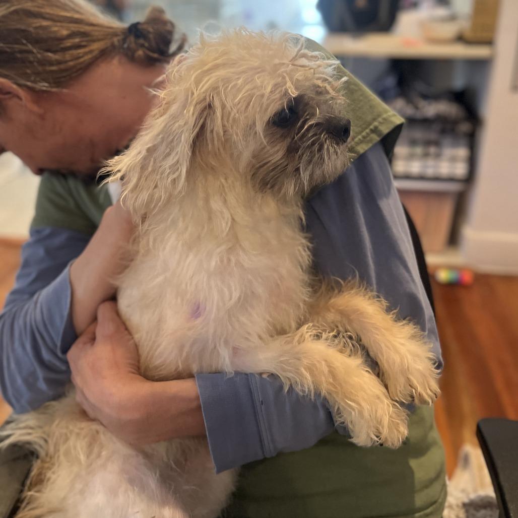 Samantha thumbnail 5