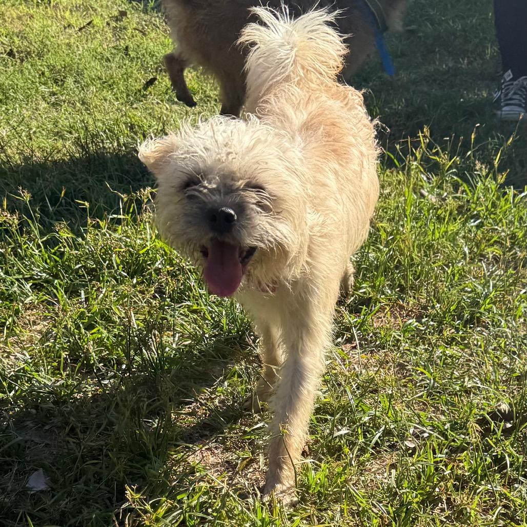 Samantha thumbnail 7