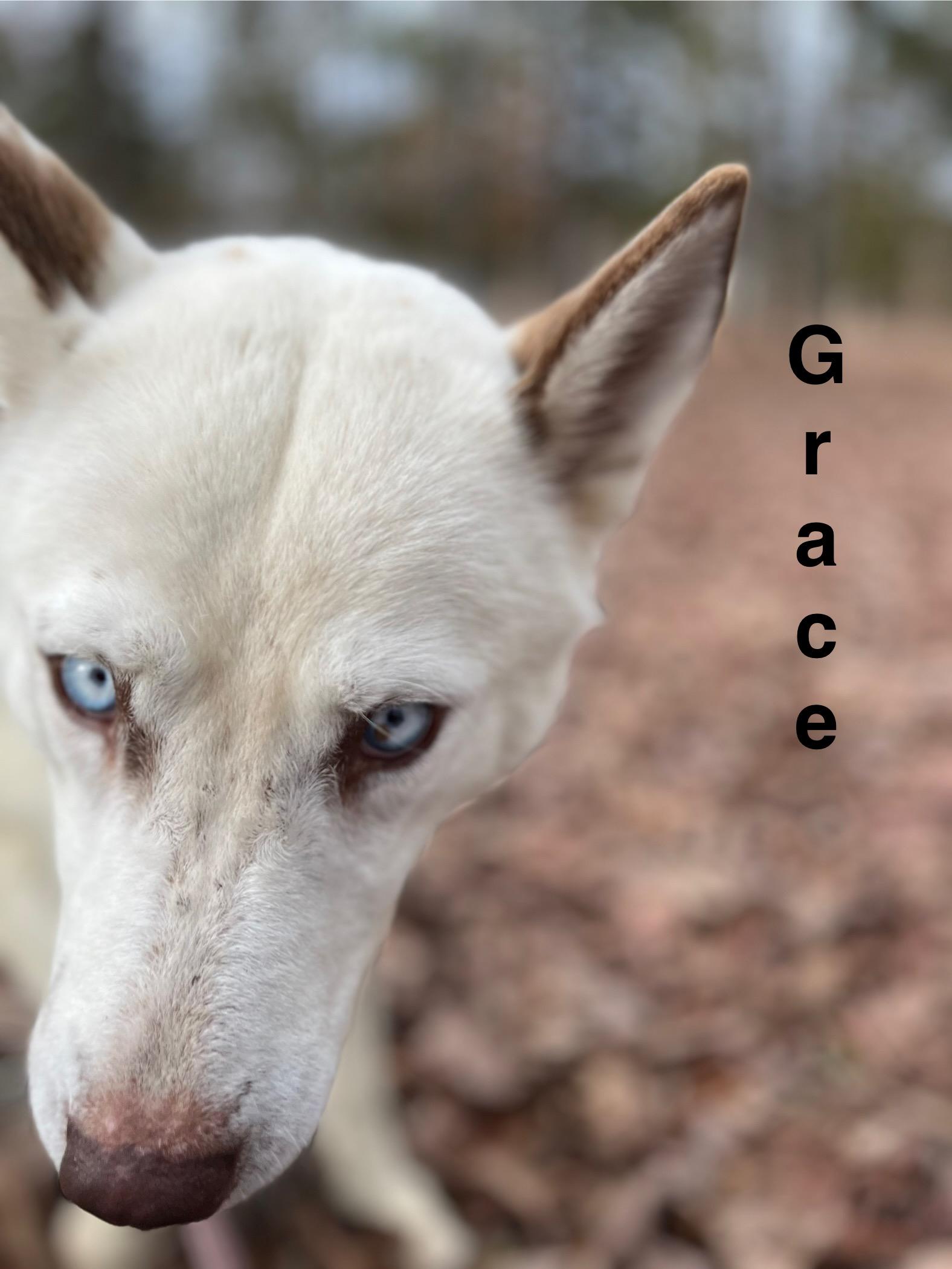 Grace thumbnail 5