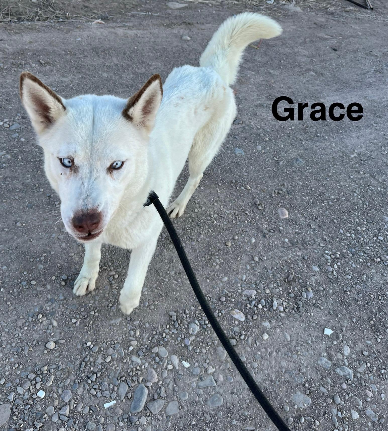 Grace thumbnail 3