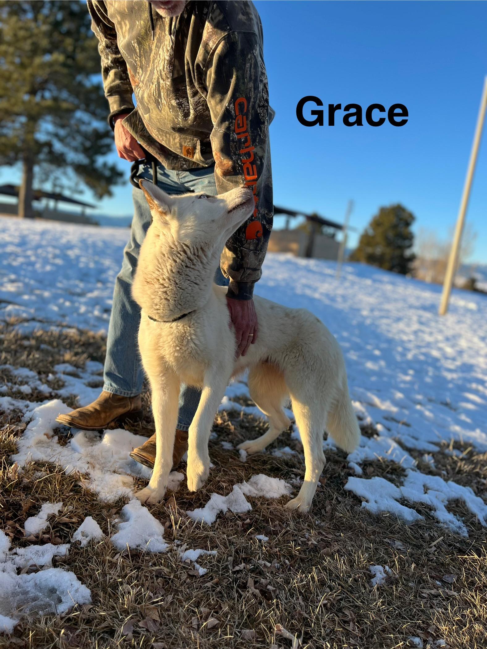Grace thumbnail 4