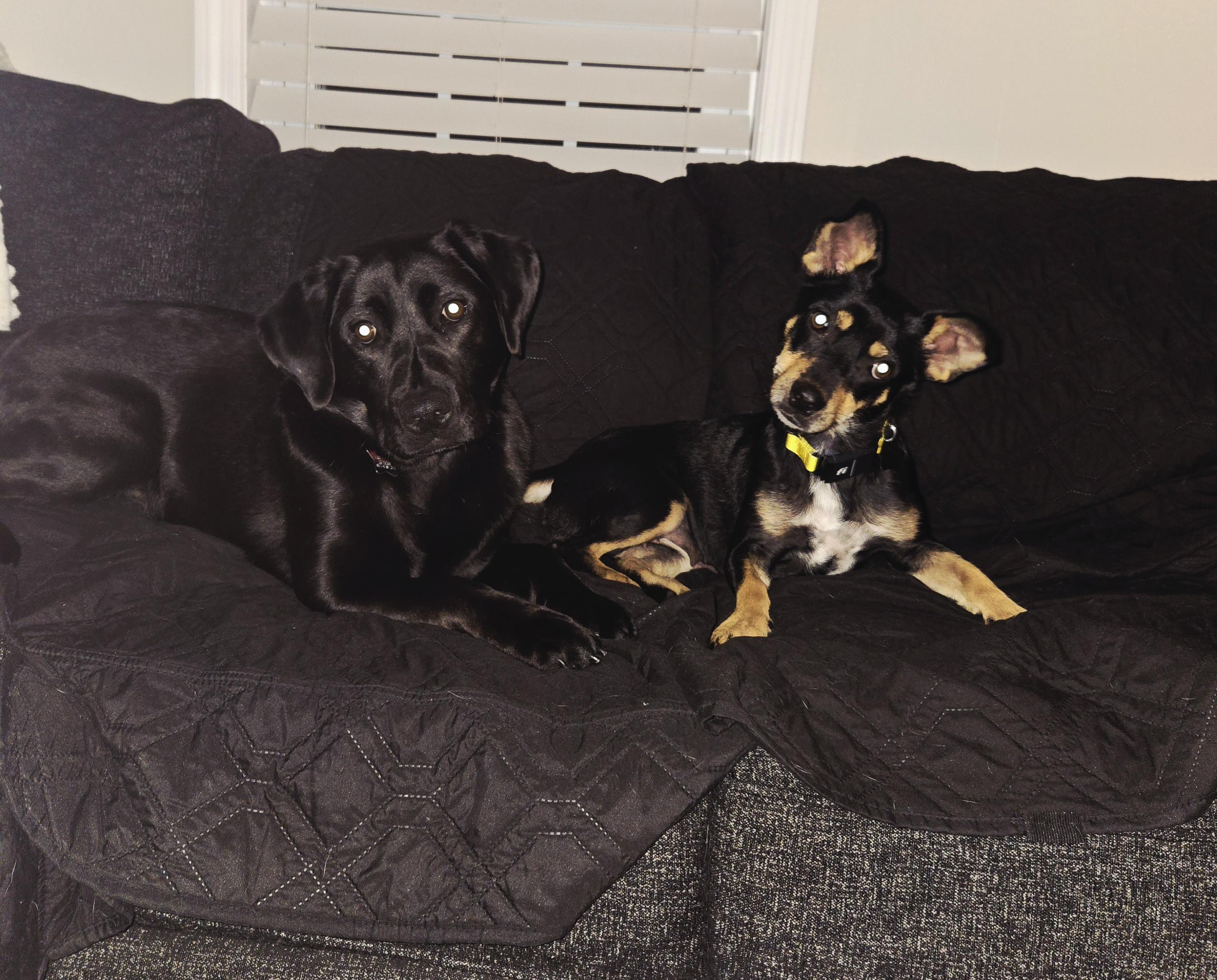 Momma Shyla Shortcake - Local lady — thumbnail 4