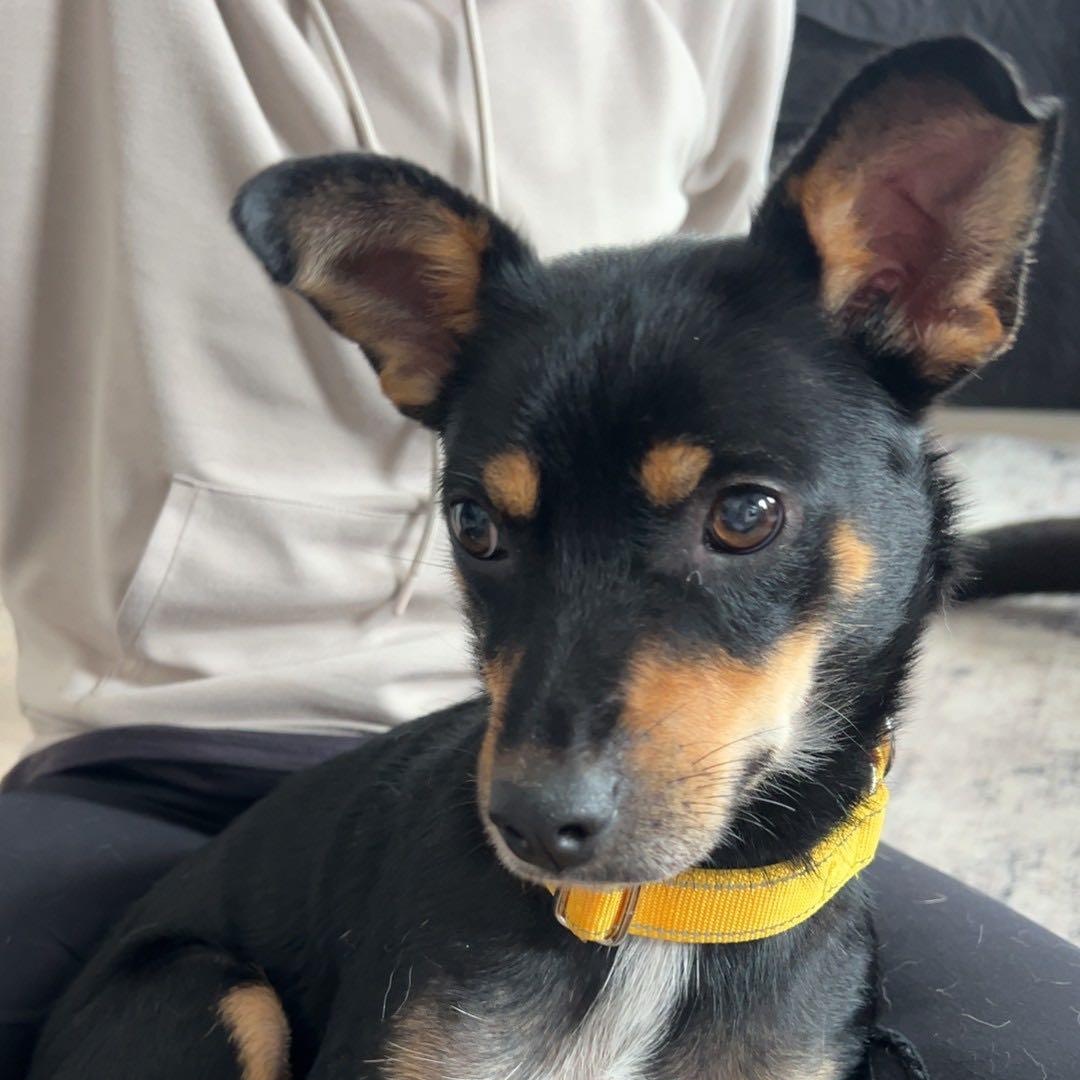 Momma Shyla Shortcake - Local lady — thumbnail 6