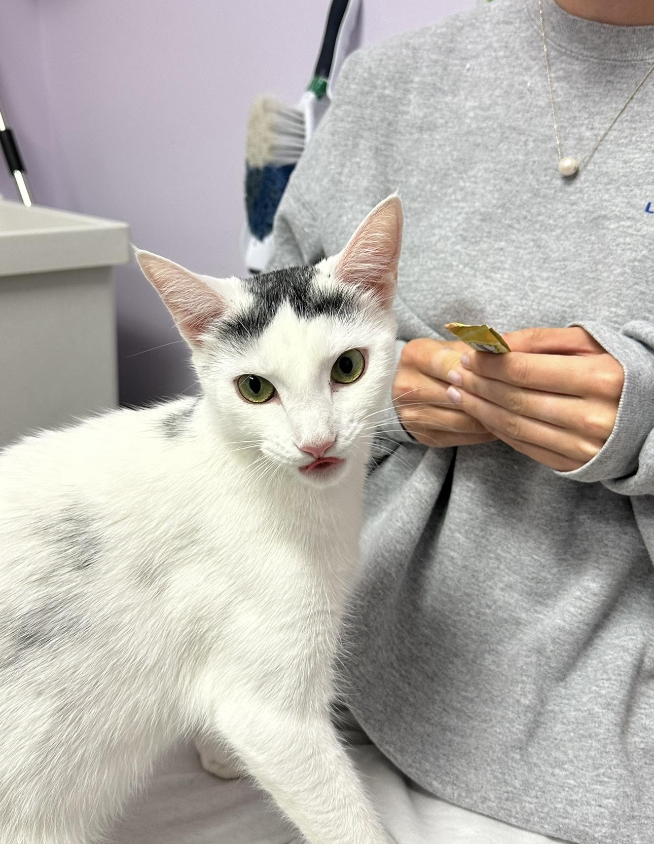 Jessie — thumbnail 4