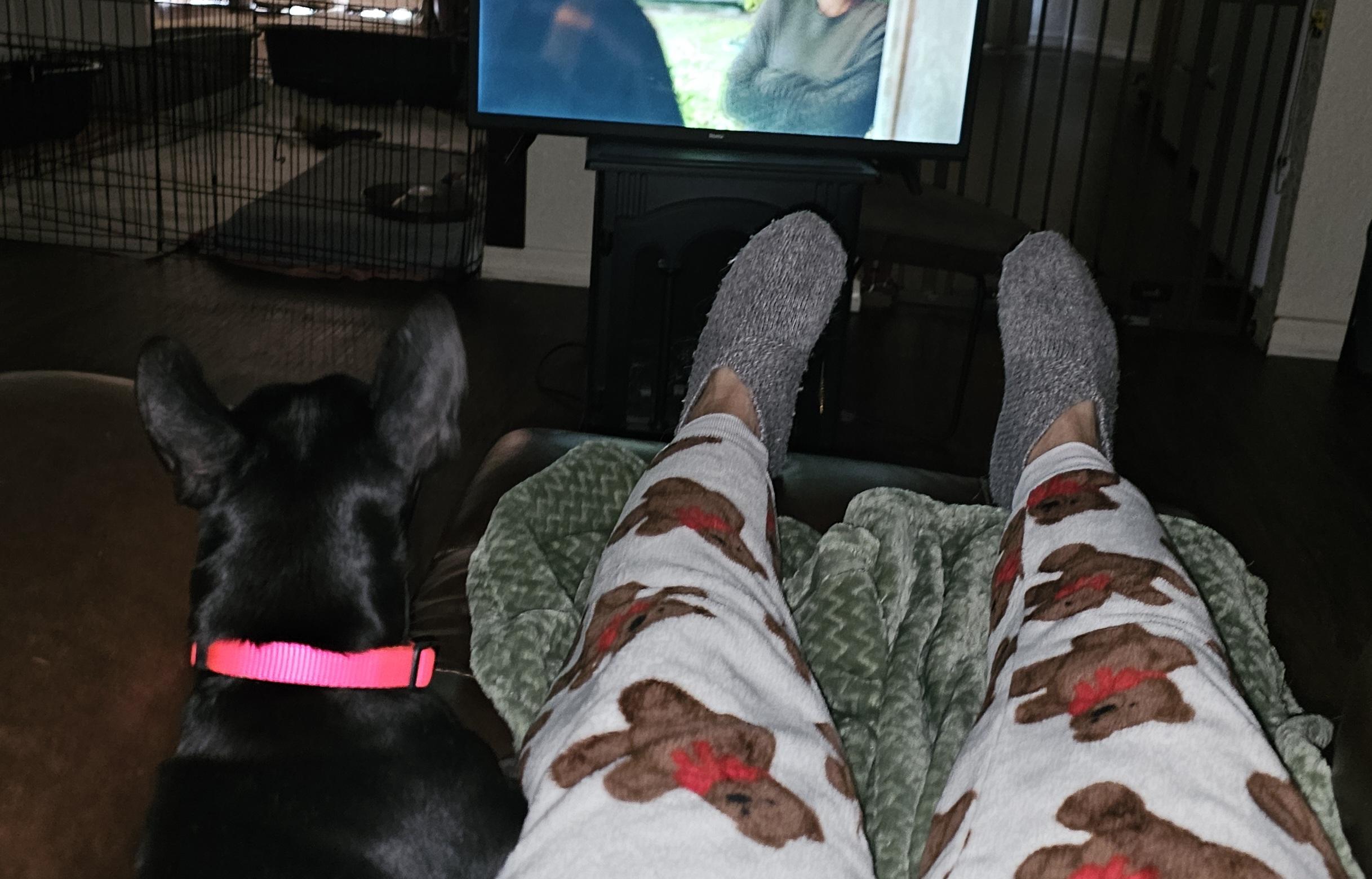 Enlarge Isla, a ADOPTABLE mixed breed in Weeki Wachee, FL image 4/4