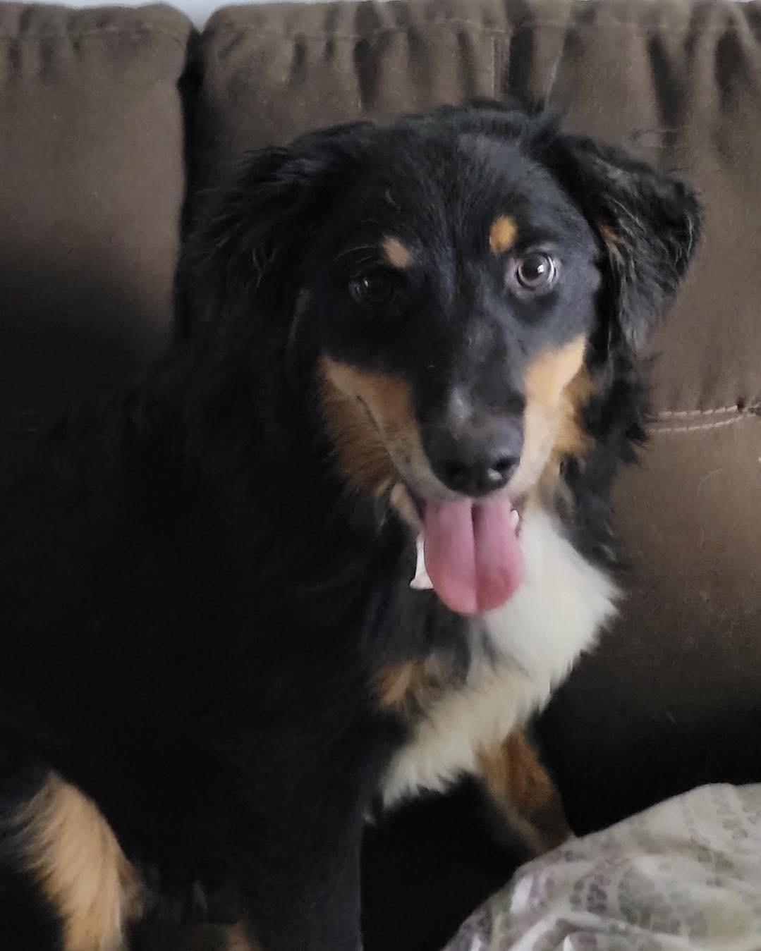 Nubby & Riley thumbnail 2