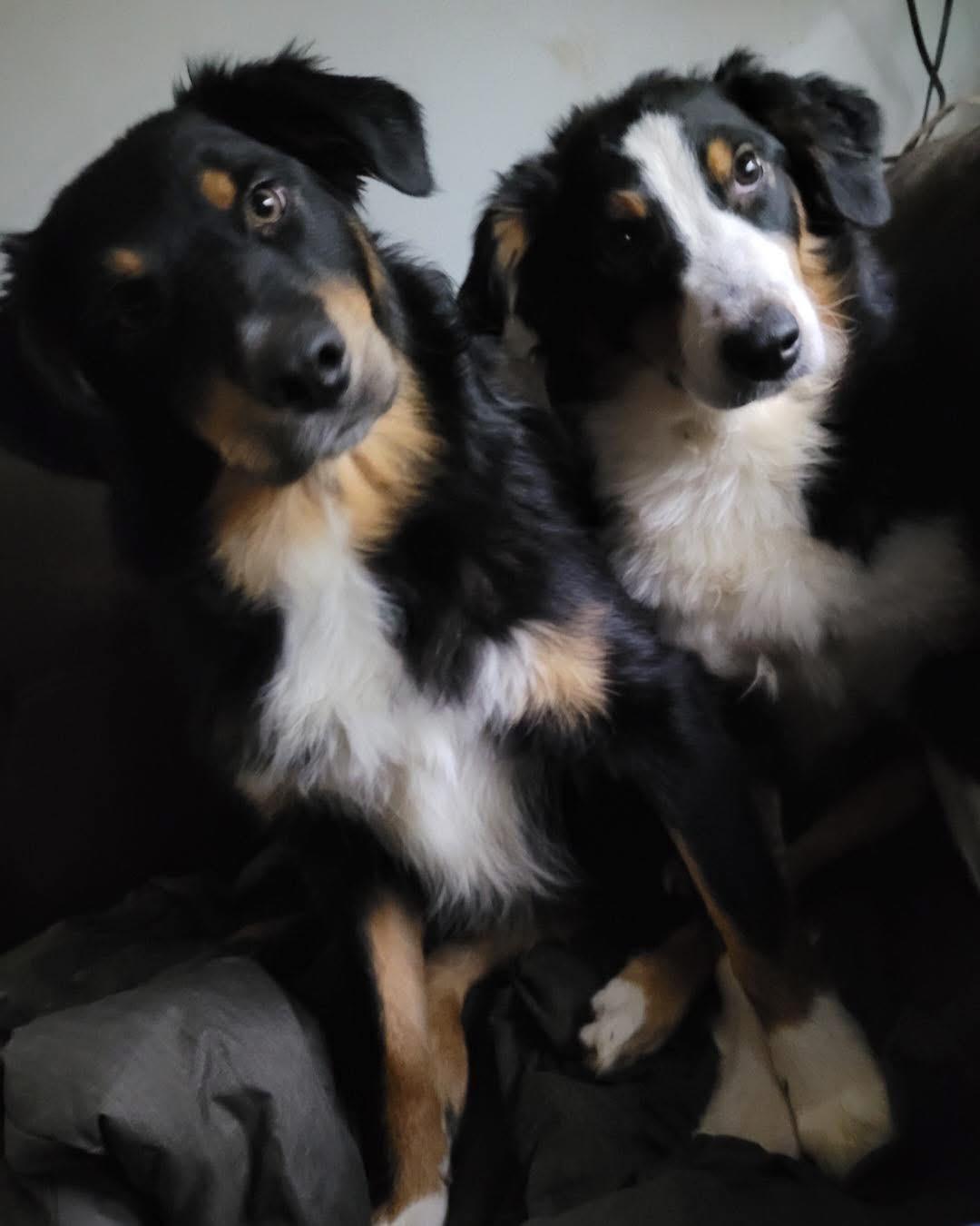 Nubby & Riley thumbnail 4