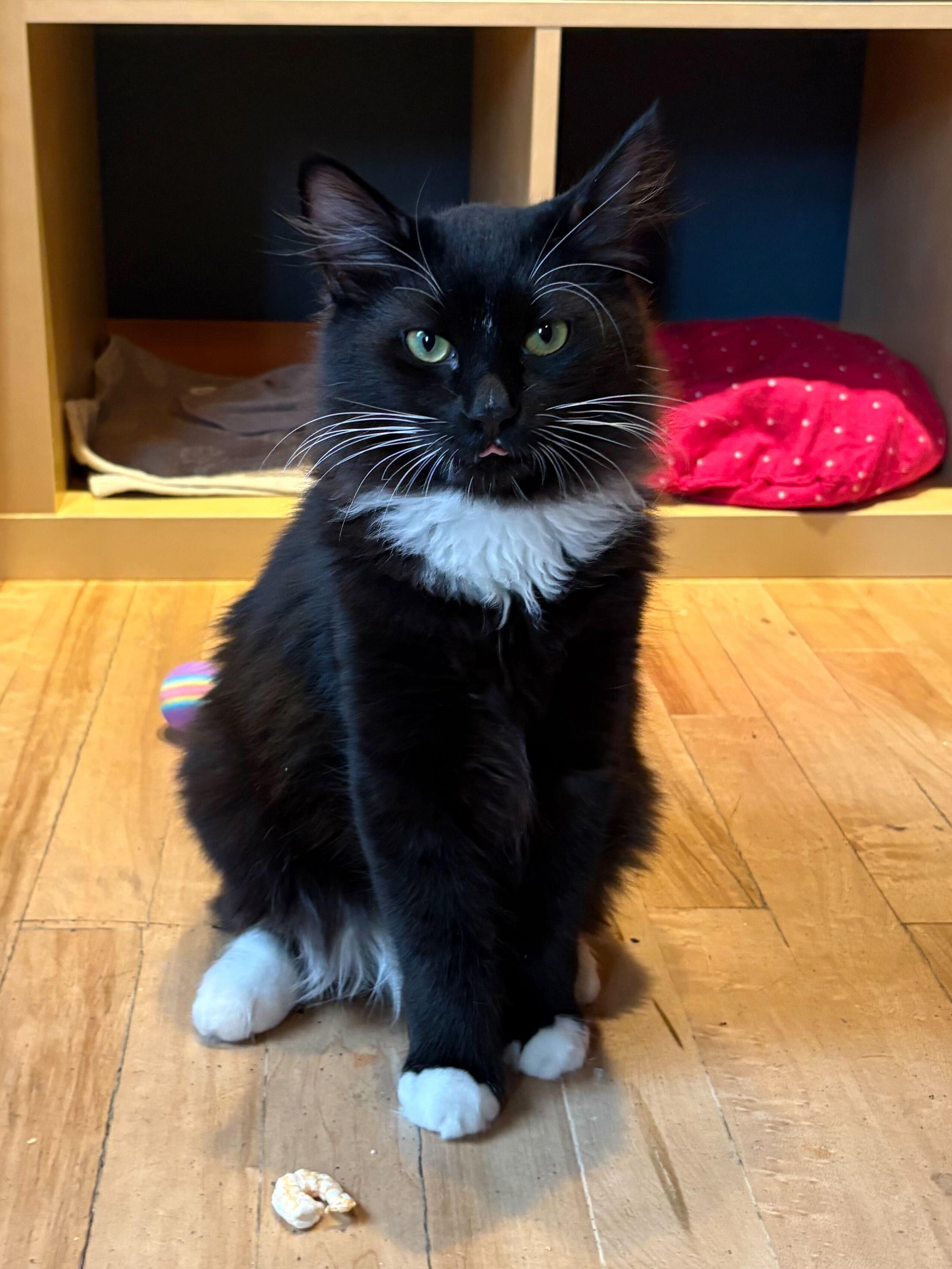 Bugs And Dark Matter thumbnail 2