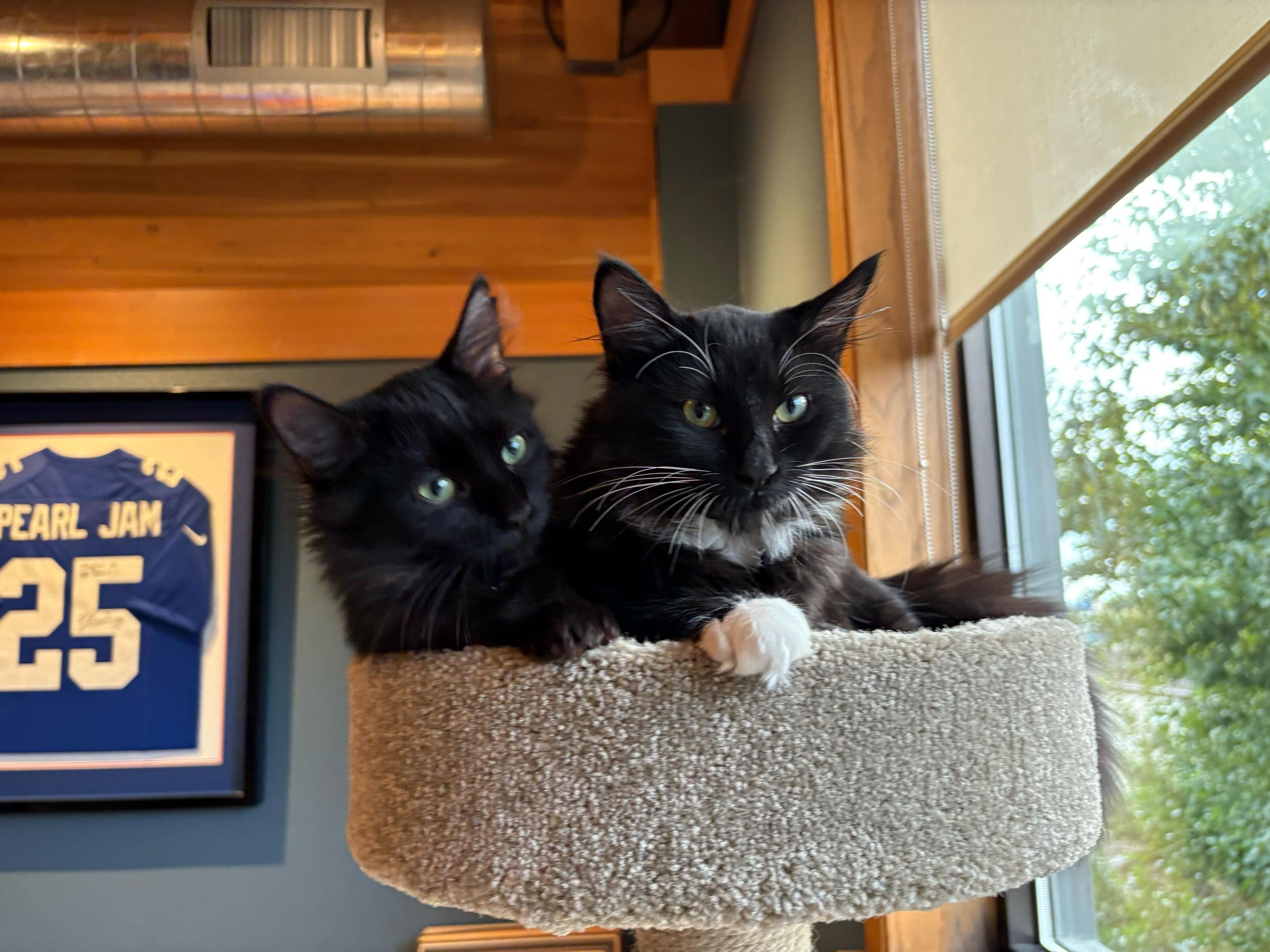 Bugs And Dark Matter thumbnail 5