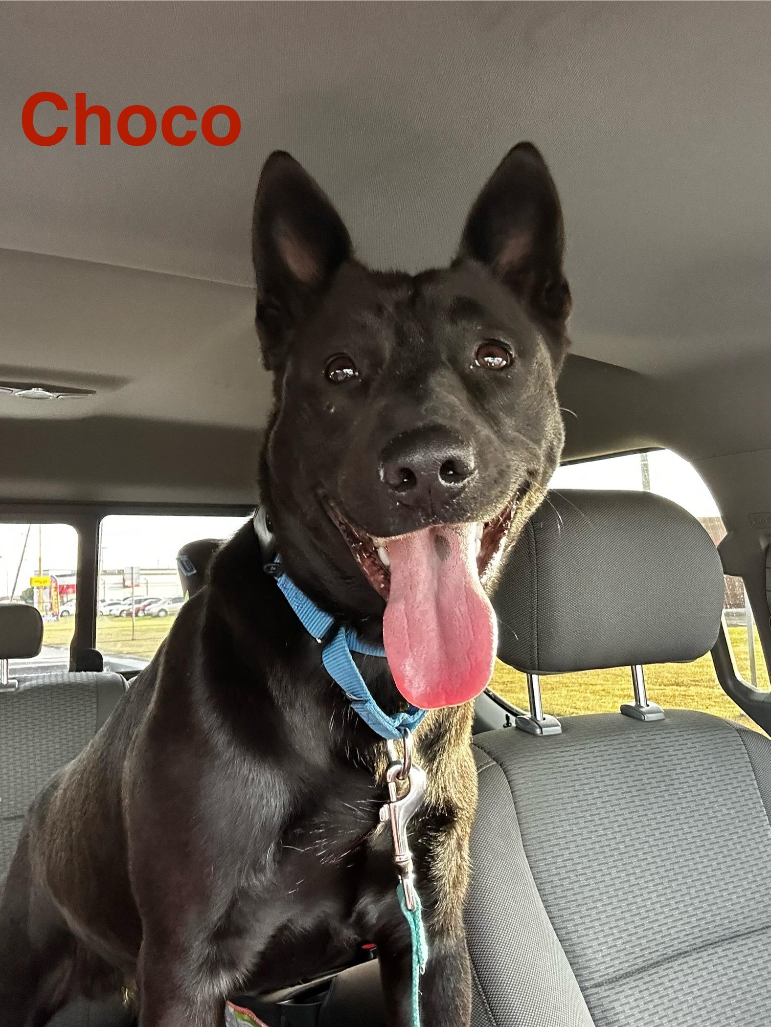 Choco