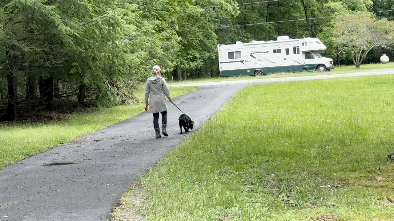 Enlarge Lacie -s, an adopted mixed breed in Sequatchie, TN video 6/6