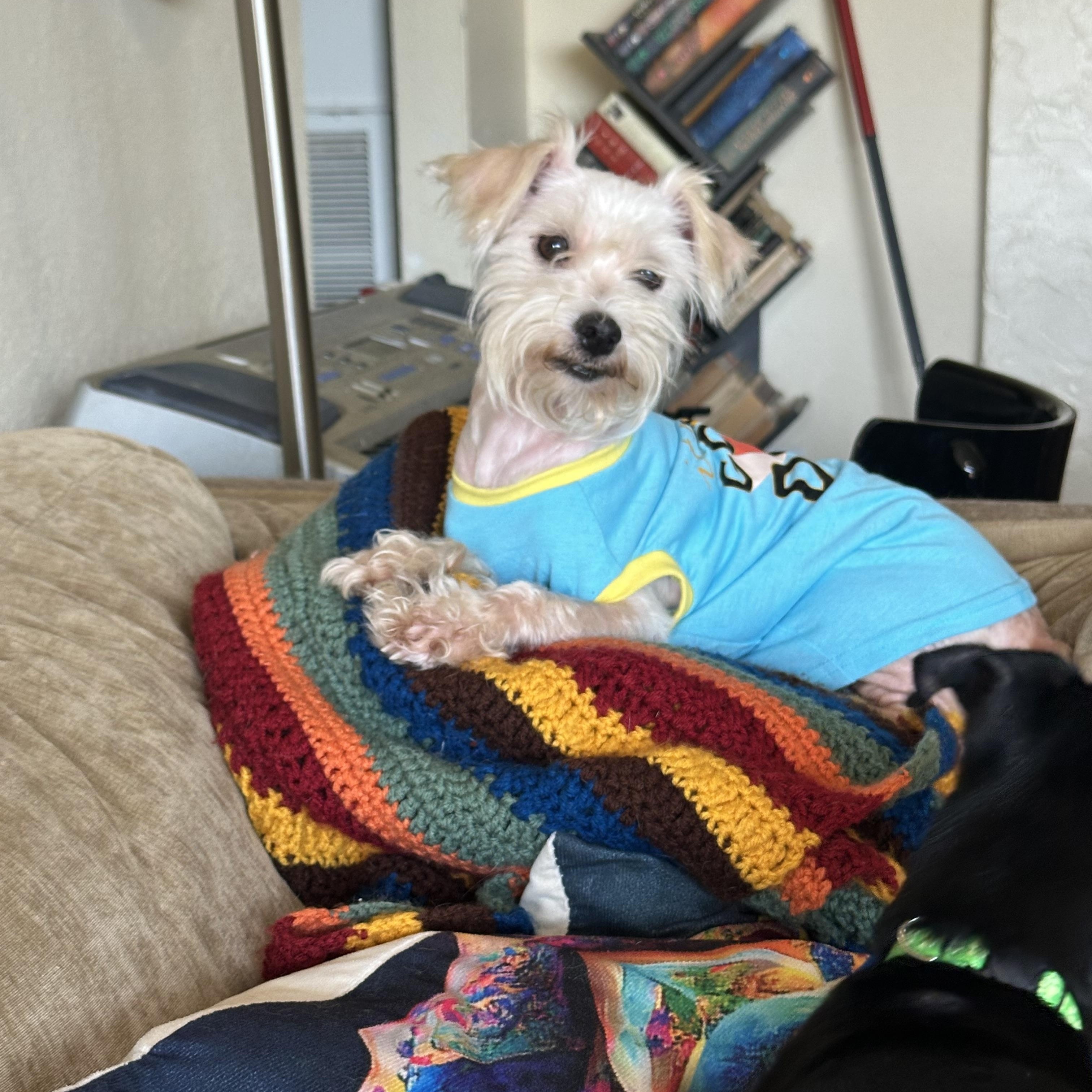 Bailey — thumbnail 3