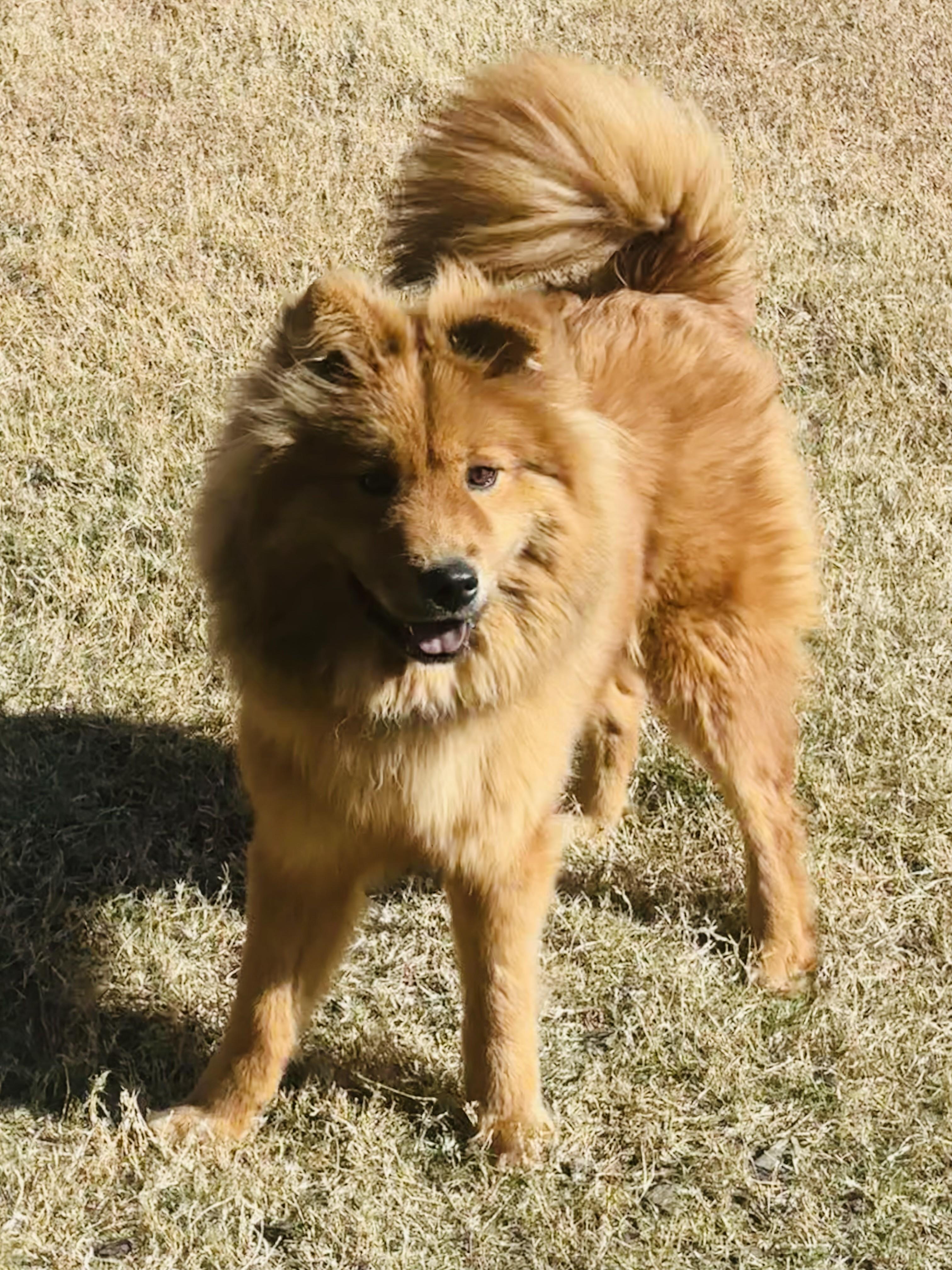 Juri — thumbnail 2