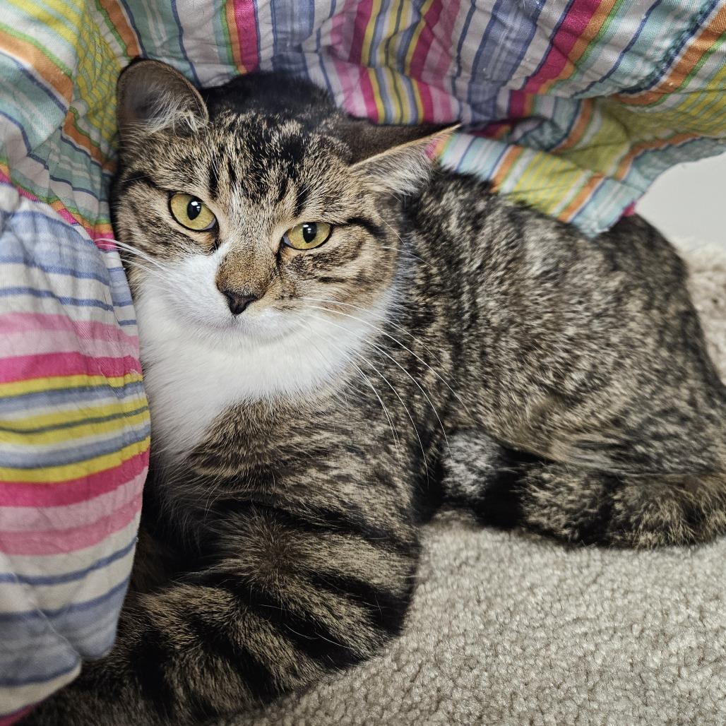 Reuben — thumbnail 2