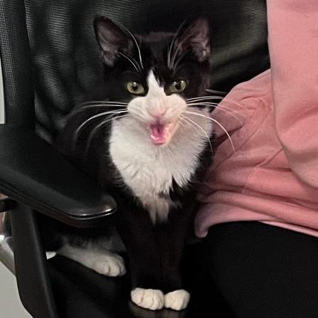 Tessa — thumbnail 3