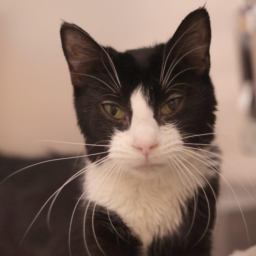 Tessa — thumbnail 4