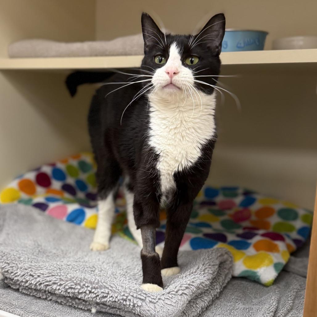 Tessa — thumbnail 6