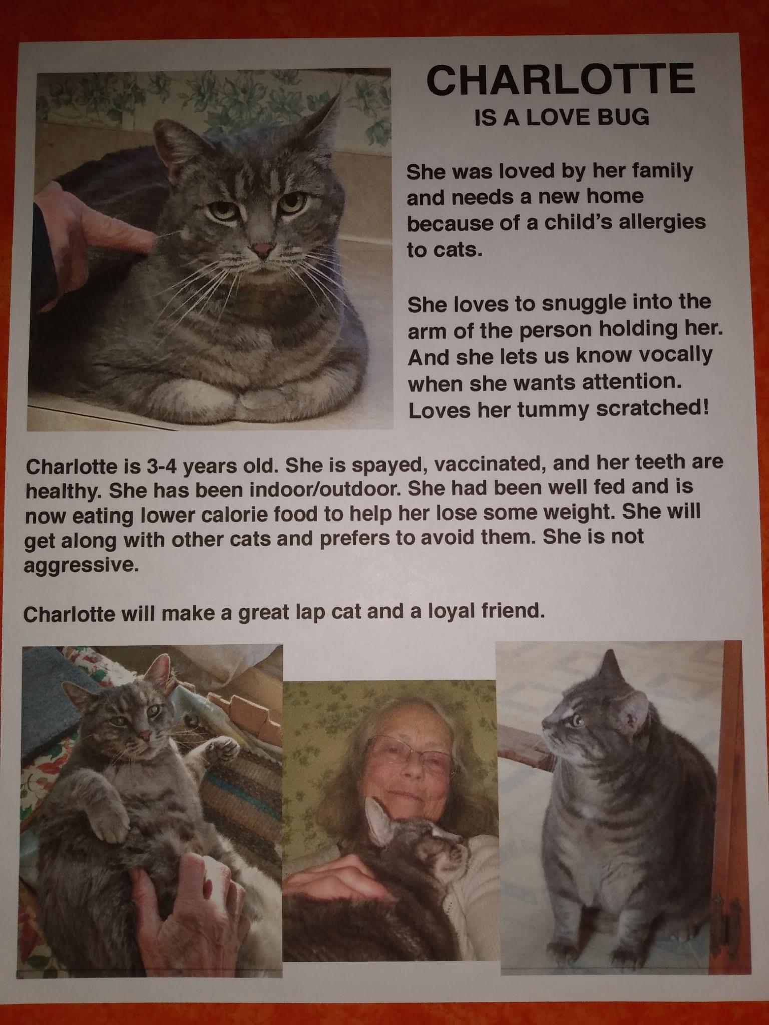 G-charlotte thumbnail 2