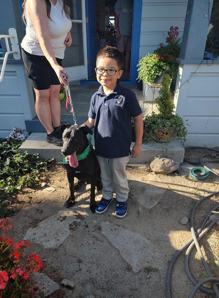 Jack, a Adoptable mixed breed in Hollister, CA image 4/5