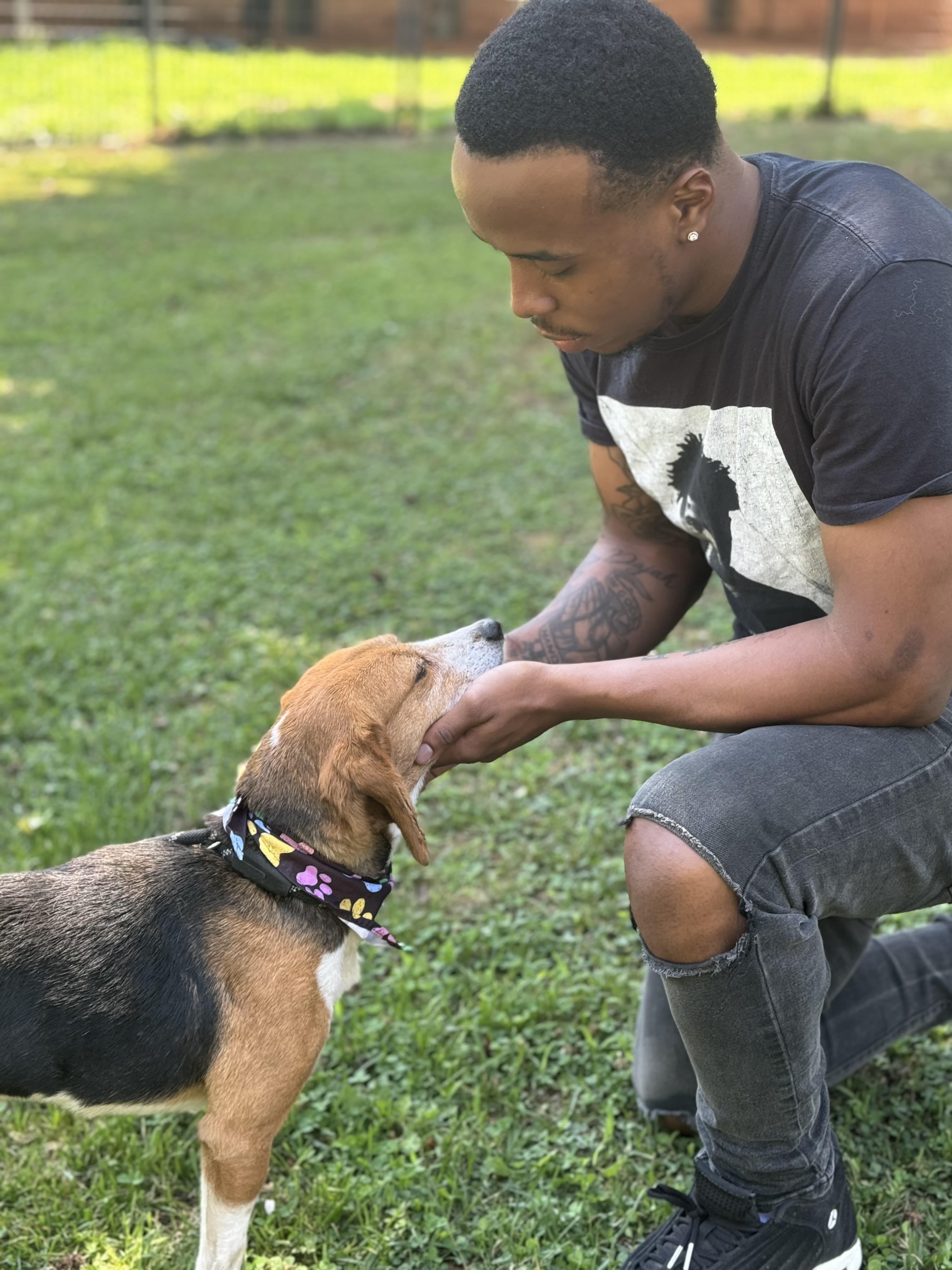Duckling, a ADOPTABLE Beagle in Richmond, VA image 5/6