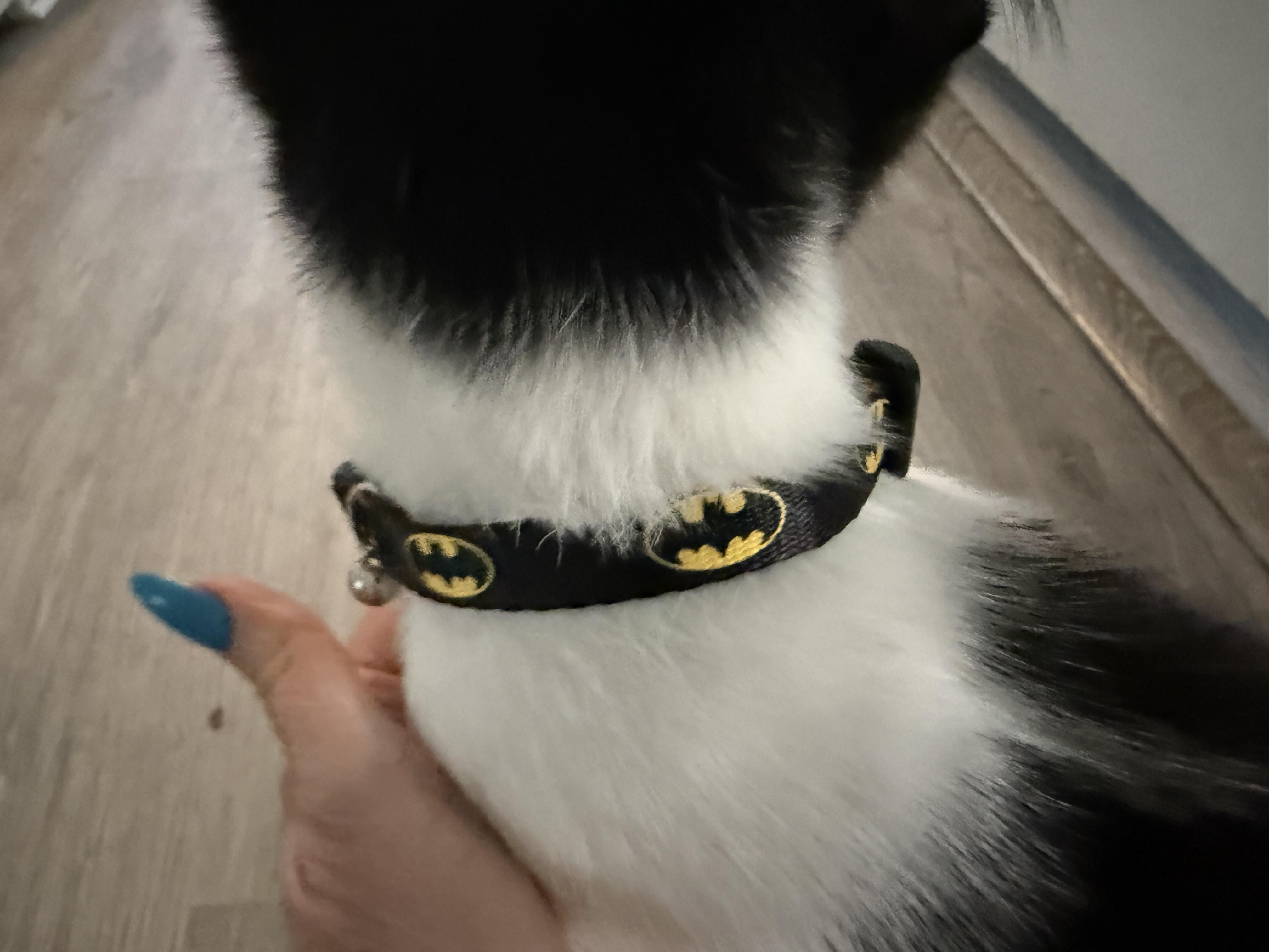 Batman photo 3