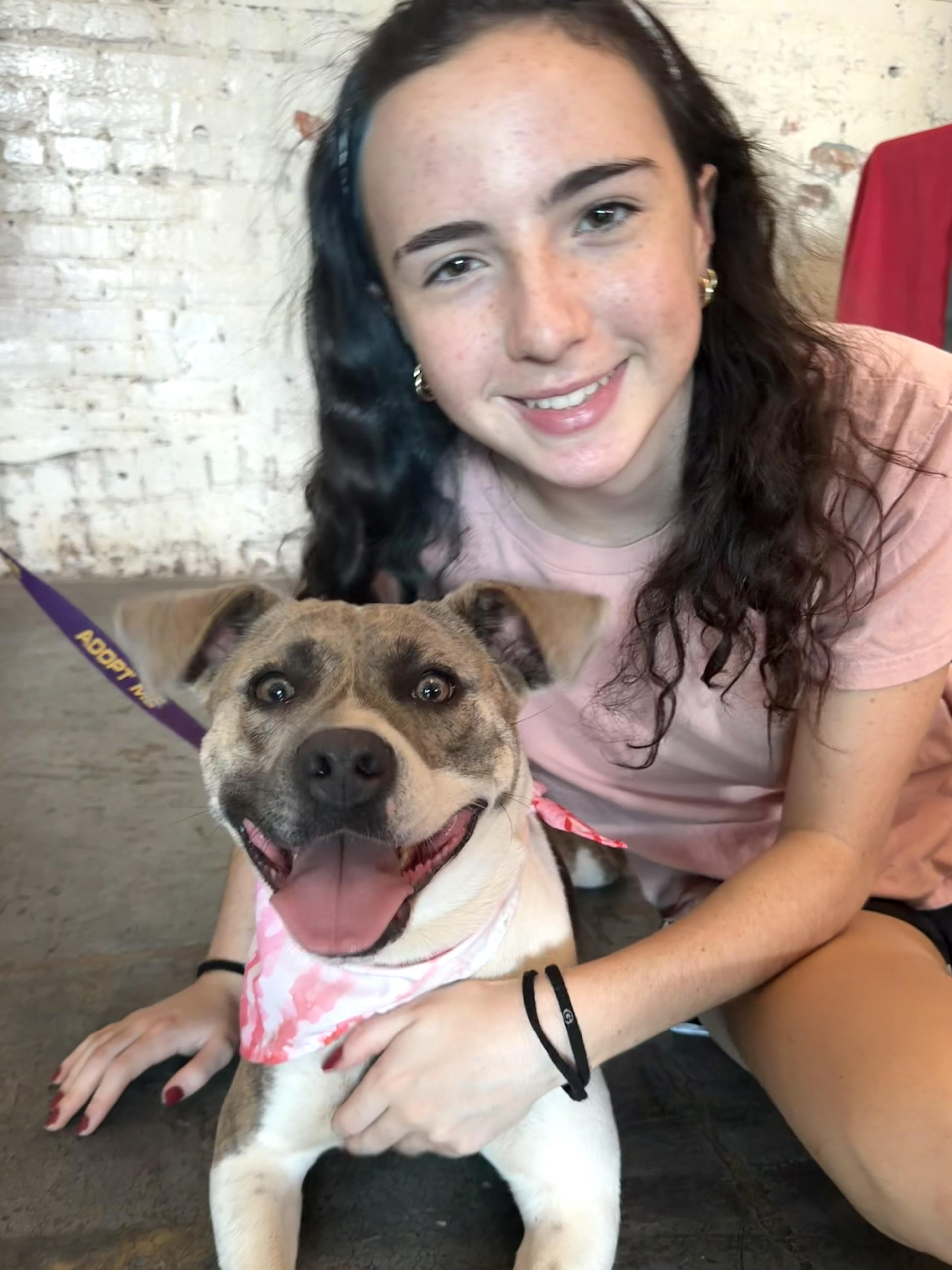 Enlarge Misty - IN FOSTER HOME - AVAILABLE TO ADOPT, a Adoptable mixed breed in Clayton, NC image 2/6