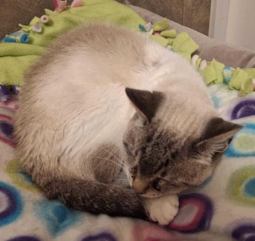 Penelope