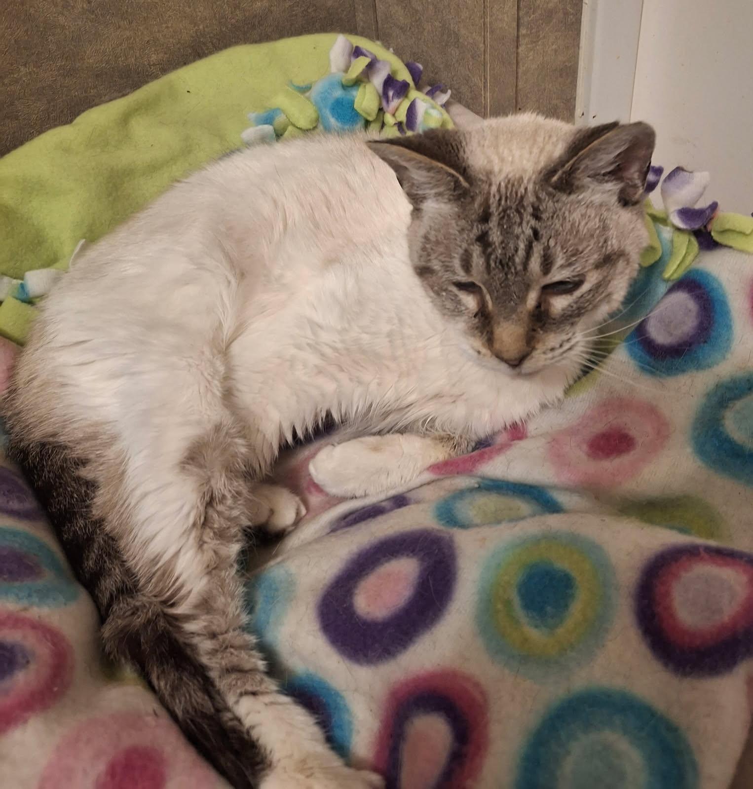 Penelope