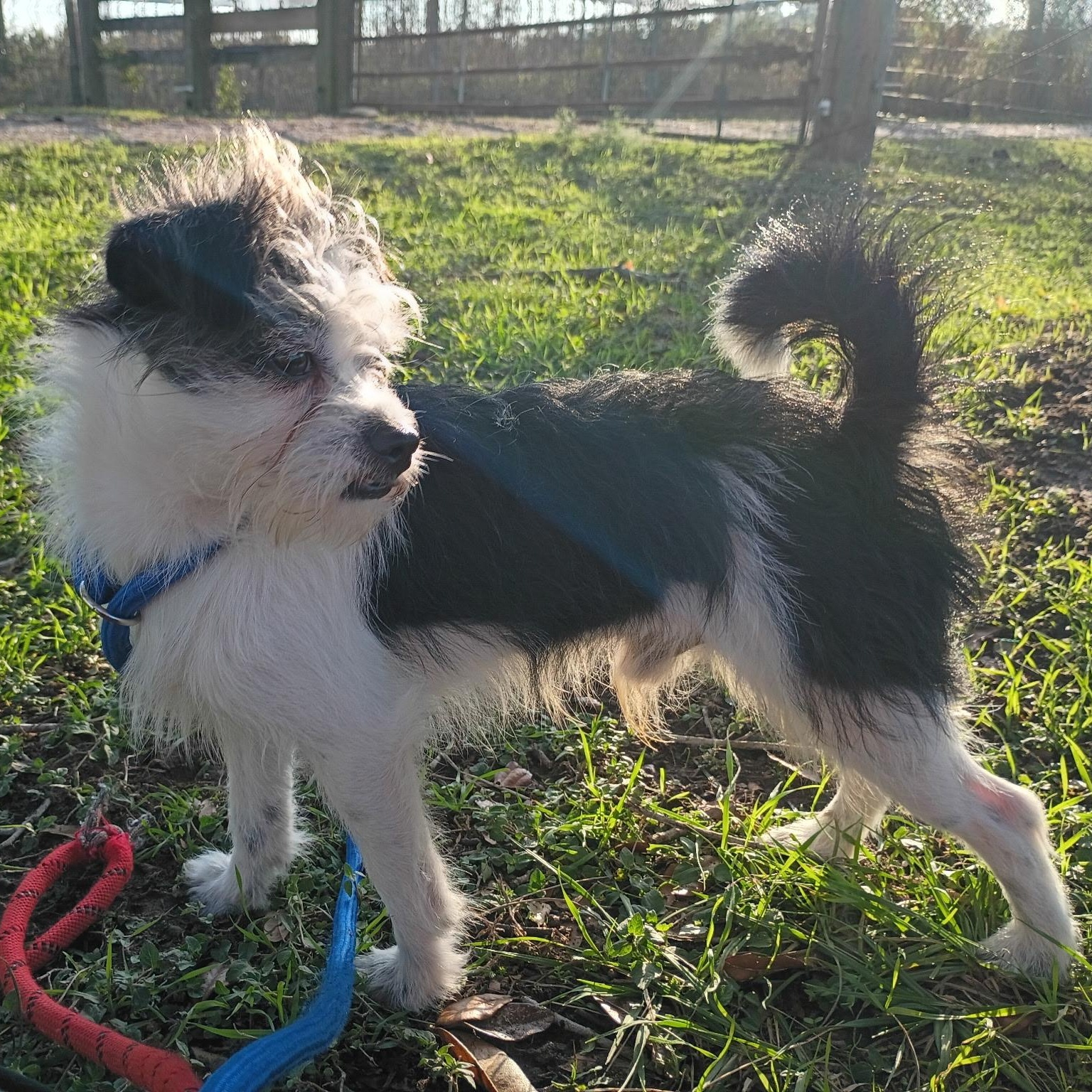 Snowden Warning: Cuteness Overload